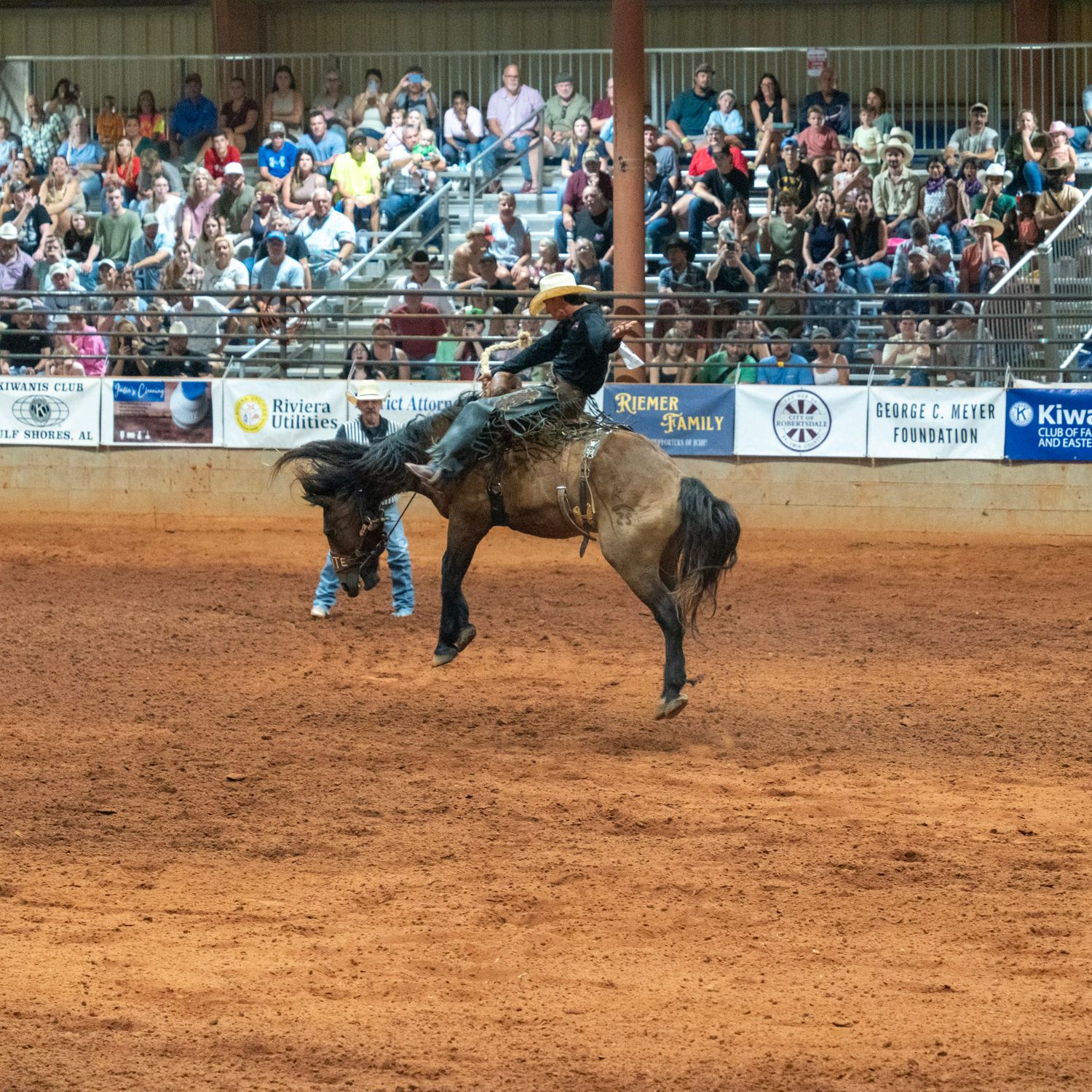 horse bucking cowboy off