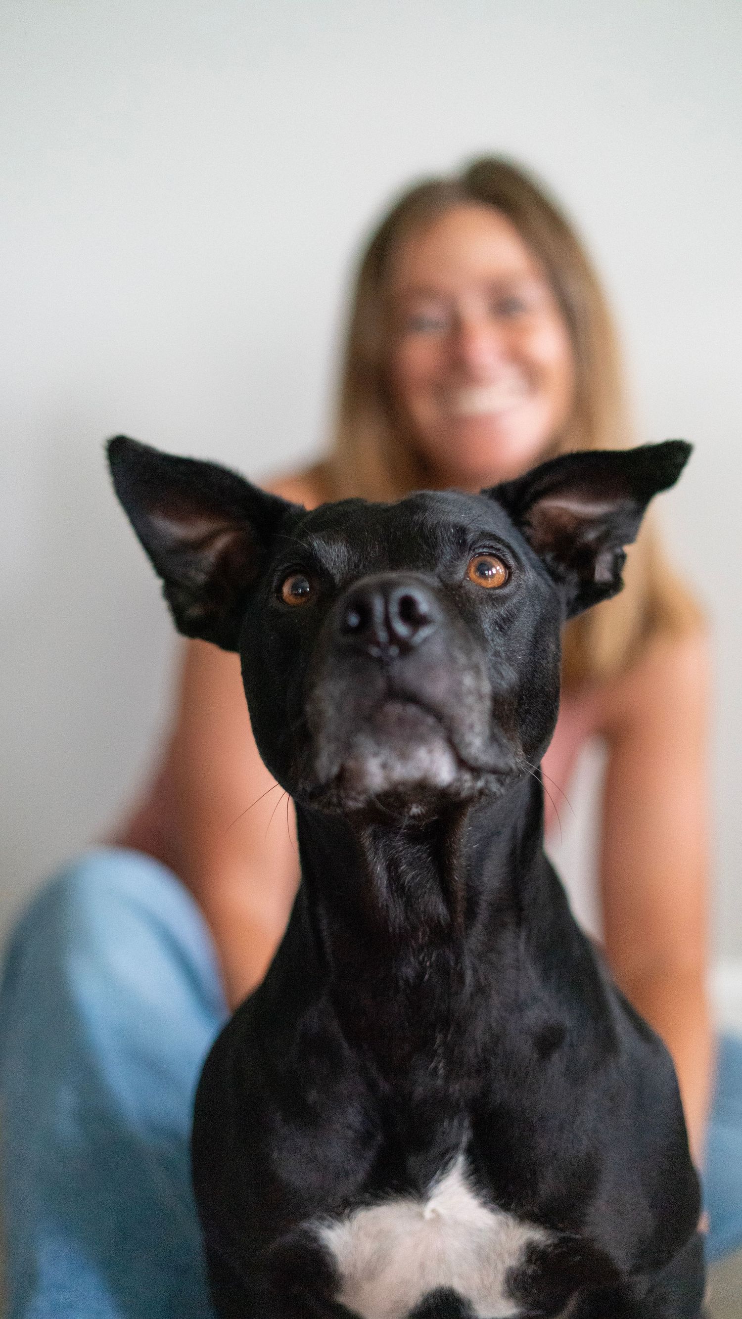 dog and human