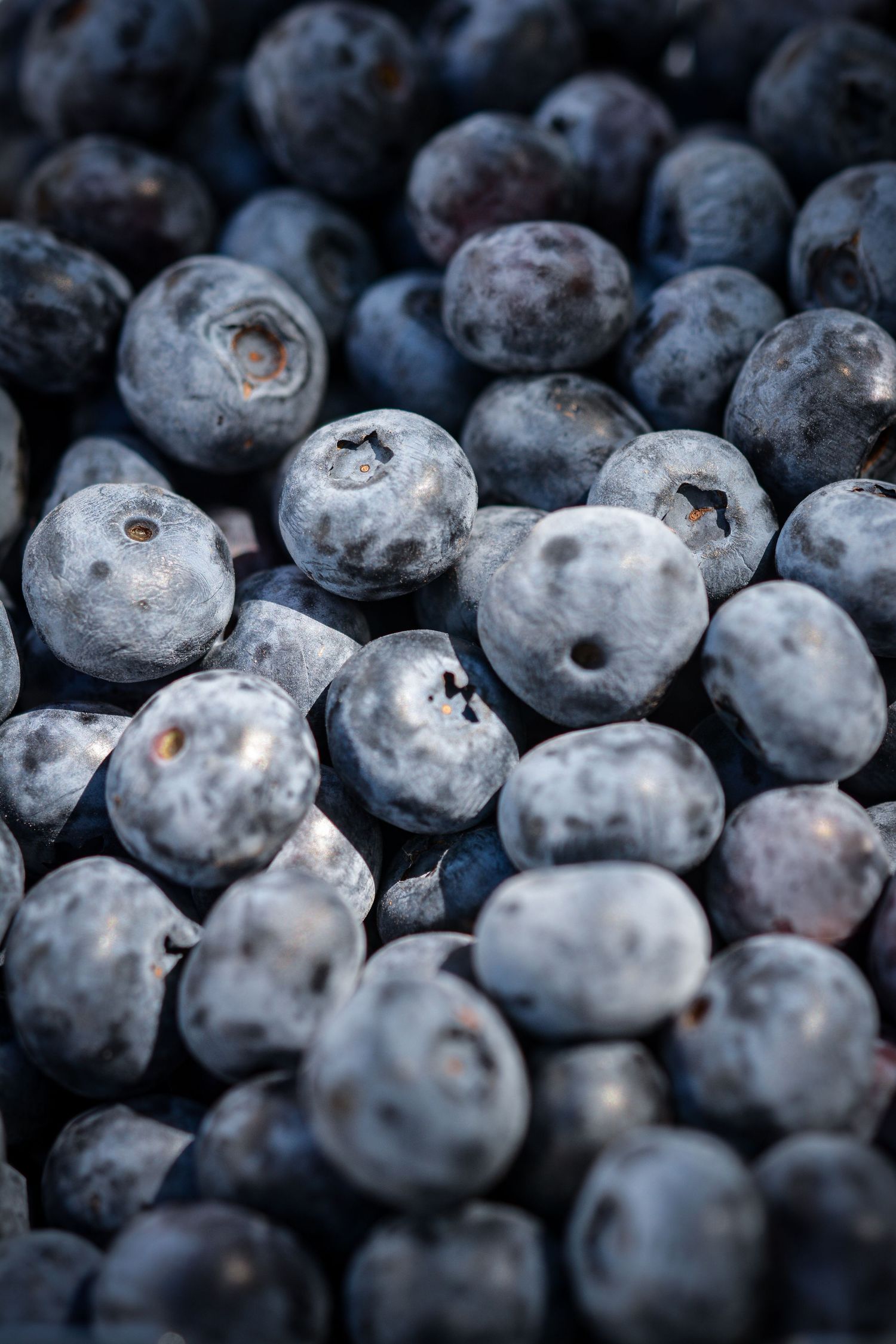 Yarra Valley Berries at the local Moonlight Market, Bendigo.