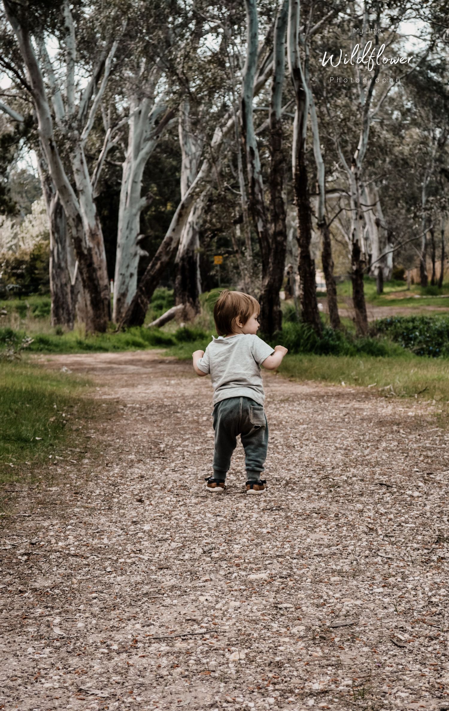 My son exploring.