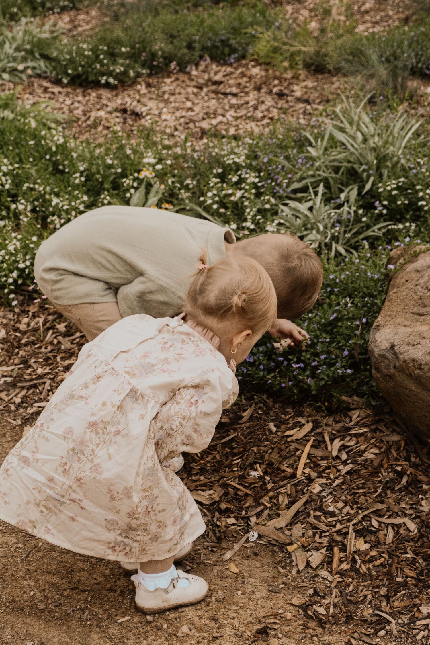 Family Photography