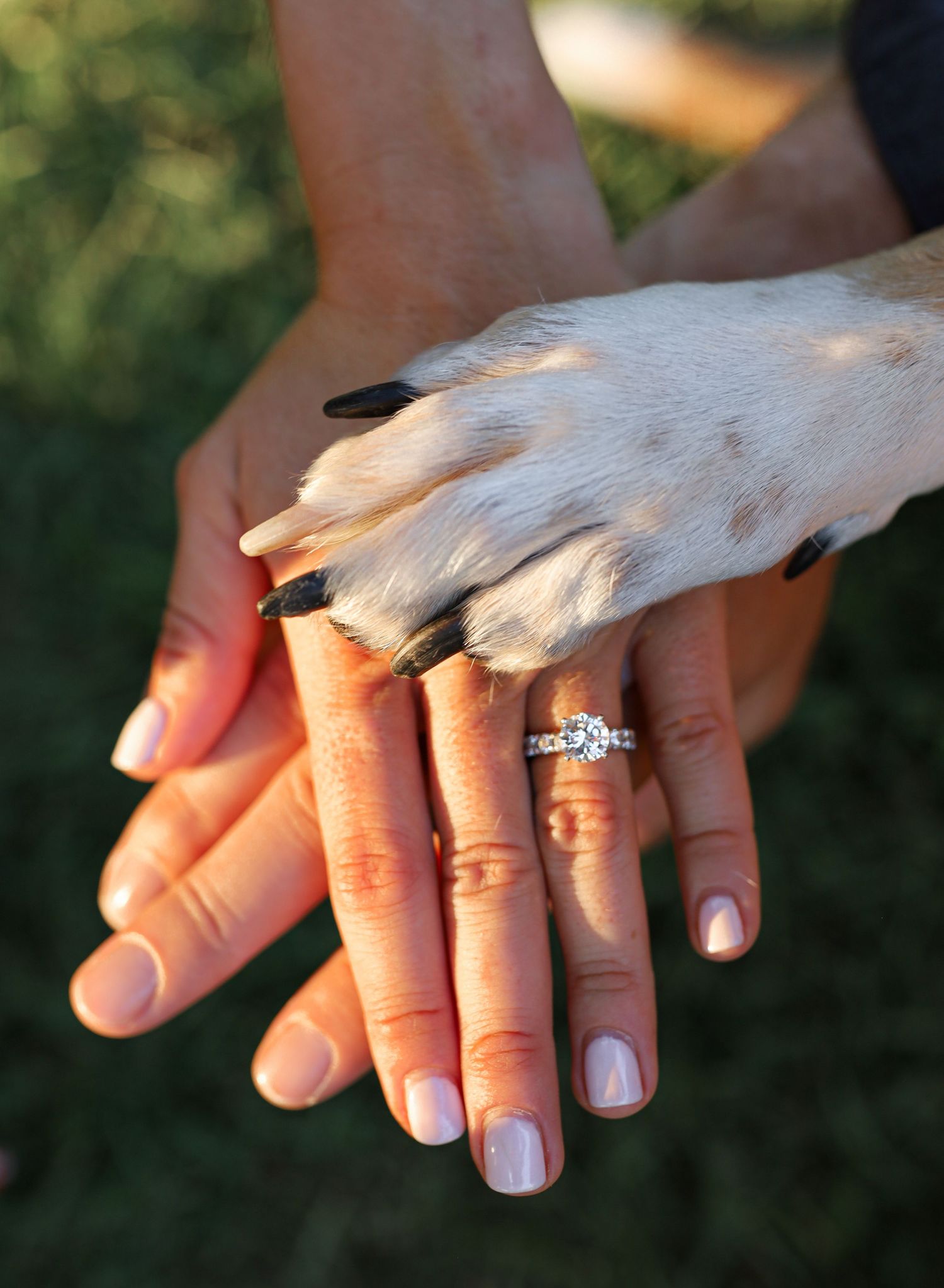 Engaged couple and dog celebrating with diamond engagement ring visible on woman's hand outdoors.