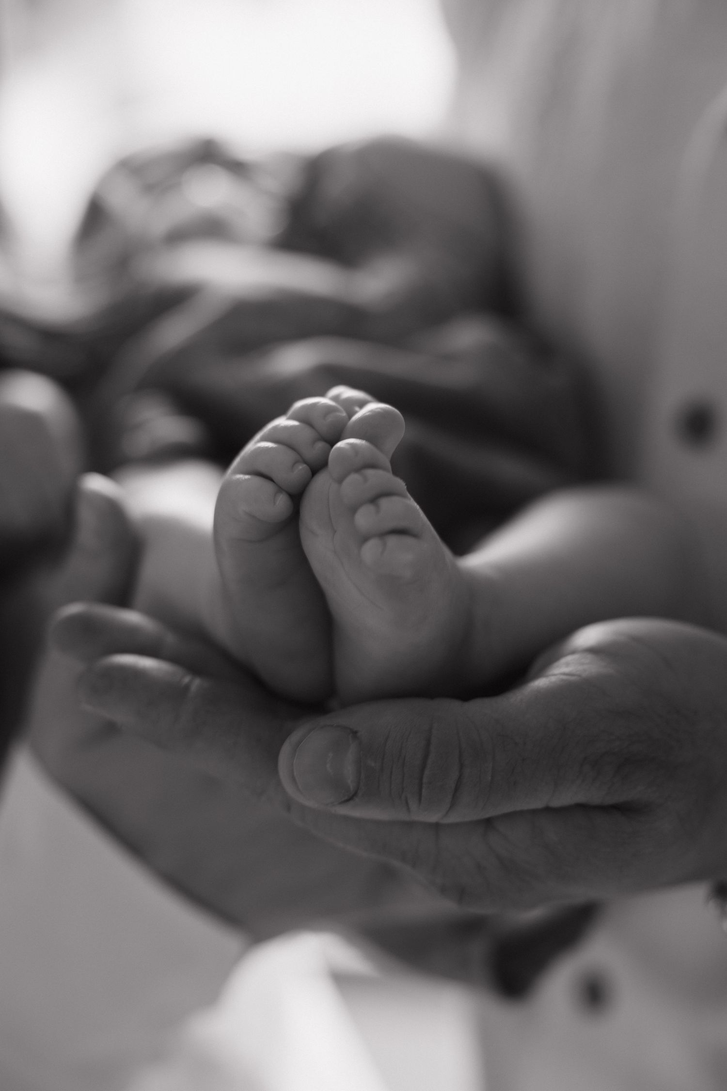 Black and white close-up of newborn baby tiny feet cradled in fathers hands.