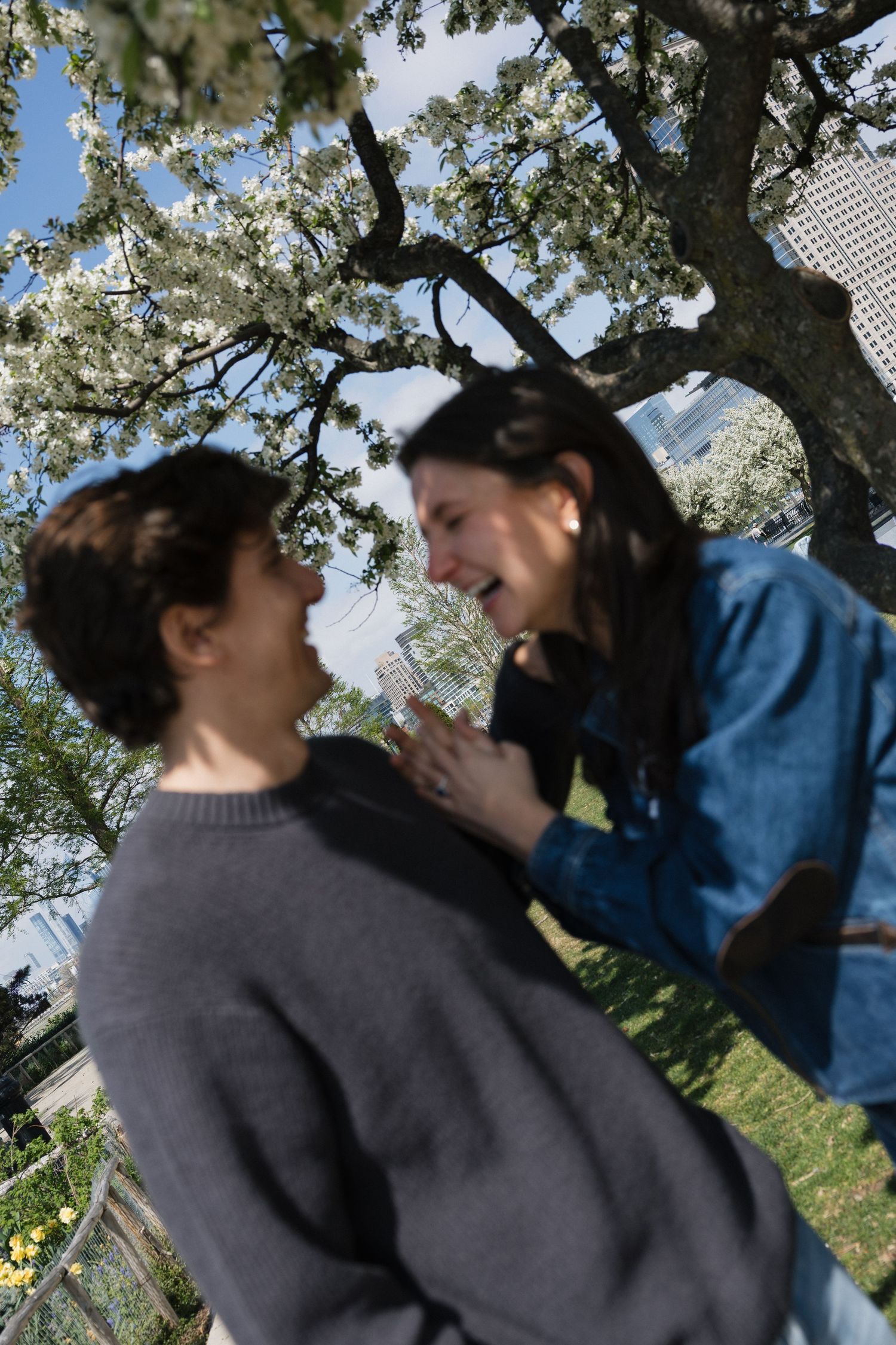 Joyful couple laughing together under a blooming white flowering tree in a sunny park.
