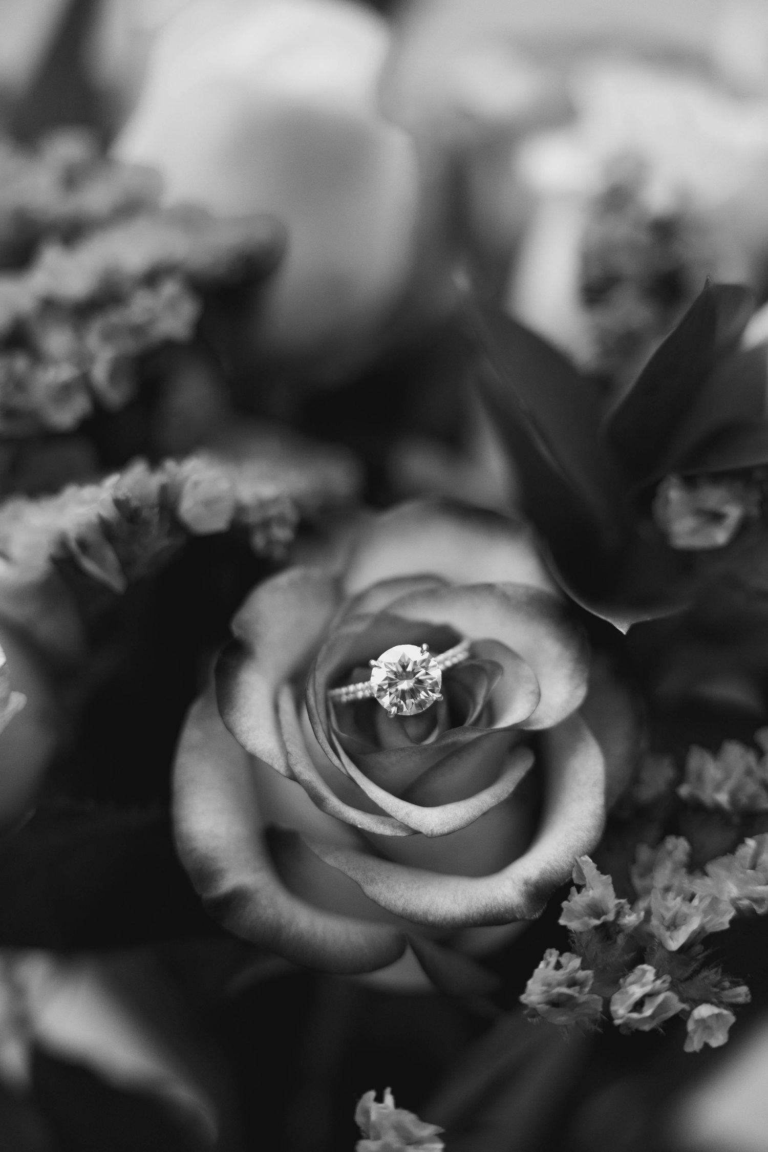 Close-up black and white photo of diamond engagement ring resting in a blooming rose bouquet.