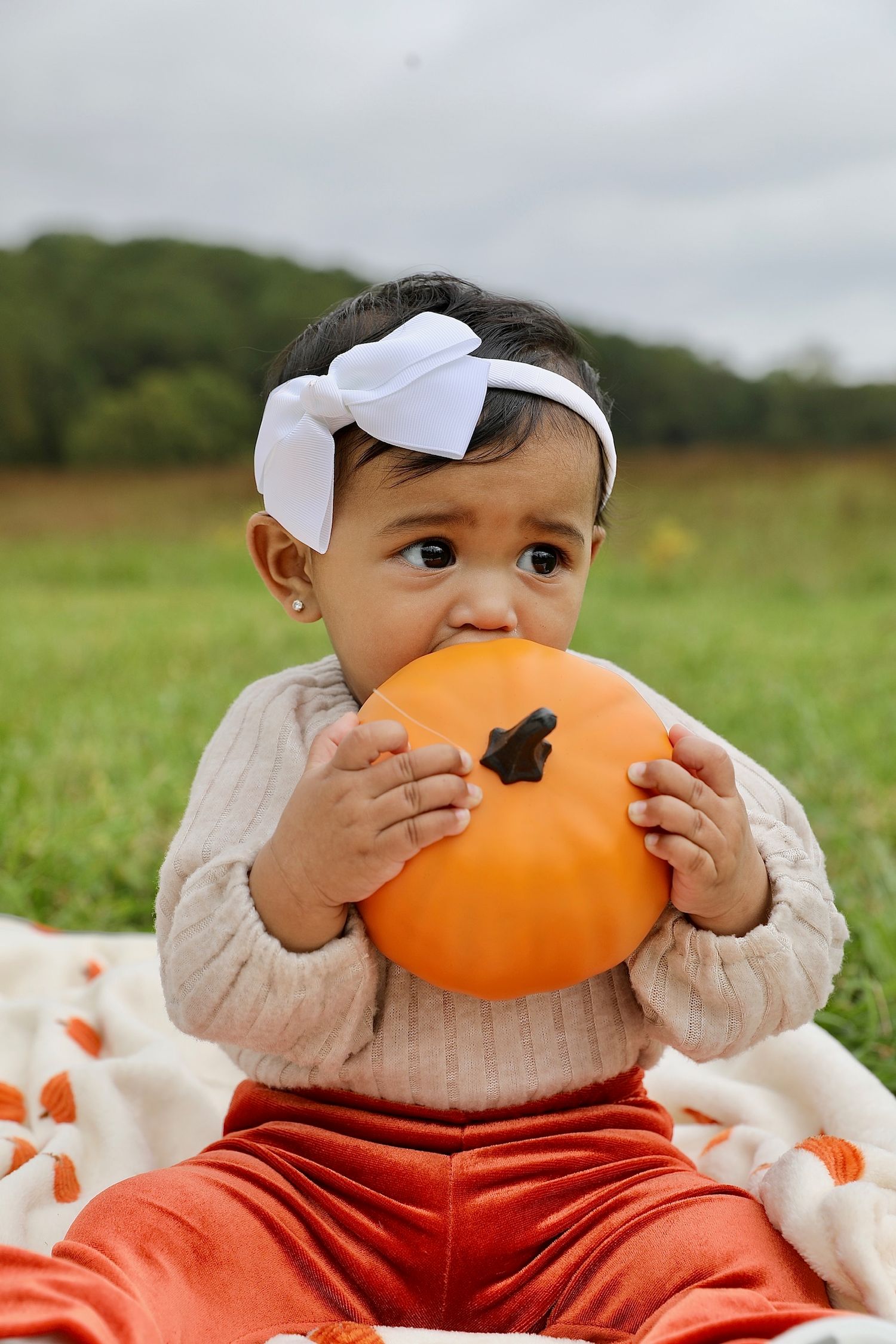 A small child in orange pants and beige sweater sits in a pumpkin patch holding and biting a large orange pumpkin.