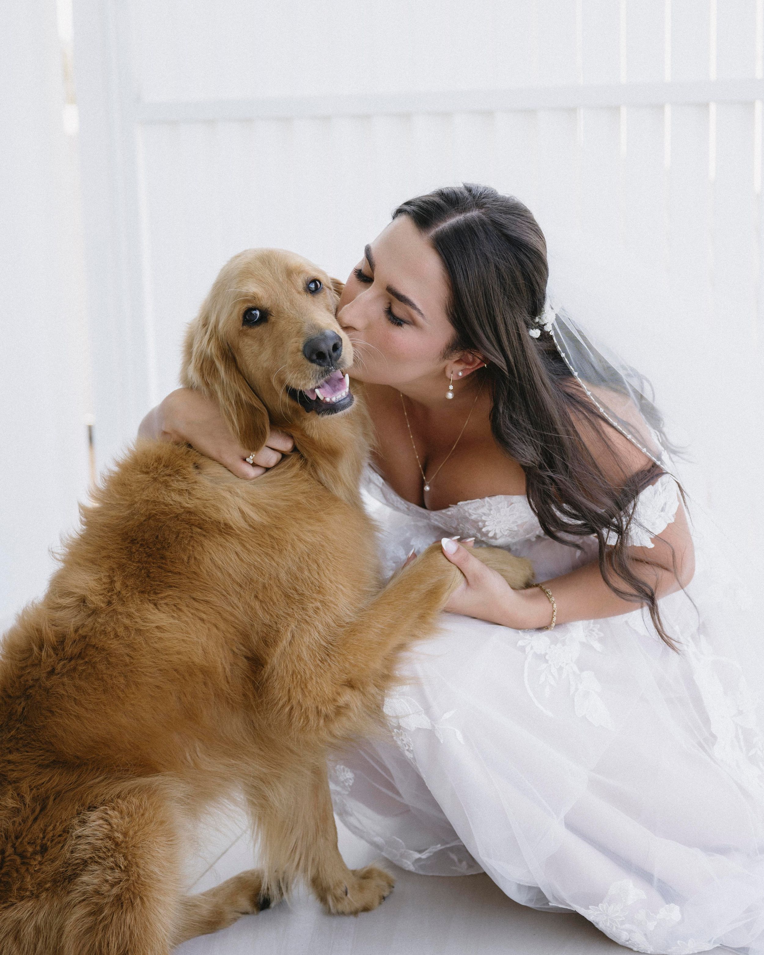 Weddings by Shiv — photo 10 of 18