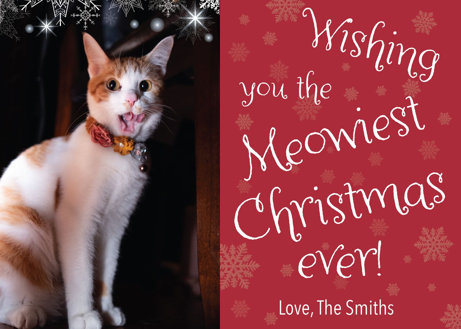 An orange and white cat with a bow tie on a Wishing You the Meowiest Christmas Ever holiday card.