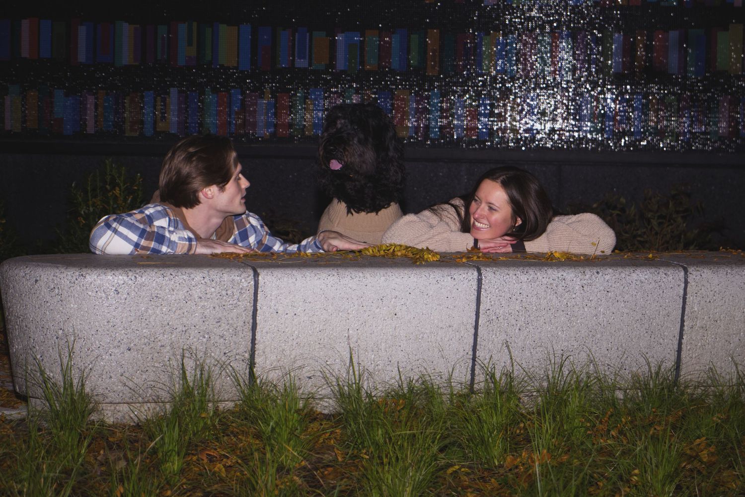 Two people chat over a concrete wall at night with a black dog between them near a lit fountain.