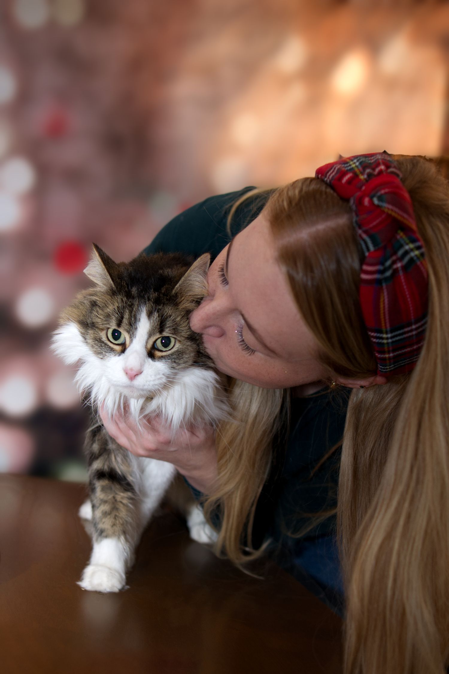 Woman with plaid headband kissing a fluffy tabby cat on a table with festive bokeh lights.