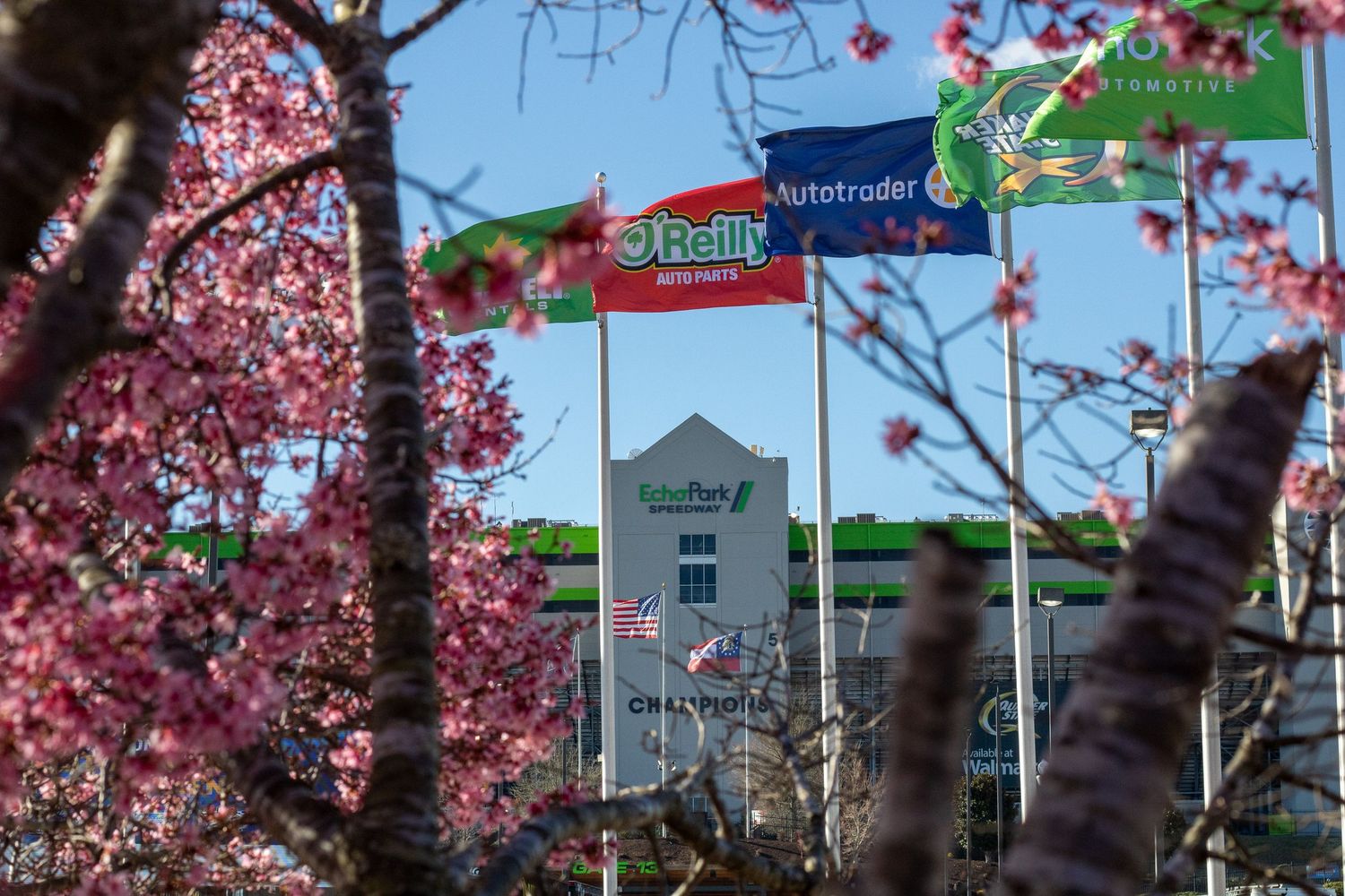 Cherry blossom trees in full bloom frame a the EchoPark Speedway Sign in Hampton Ga