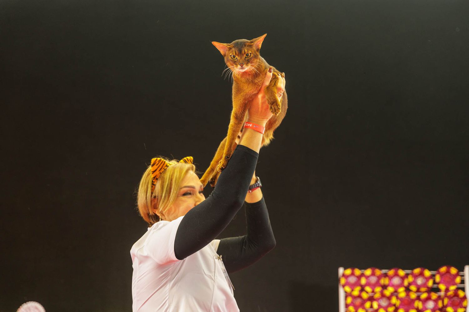 Person in white holding up orange cat during performance on stage.