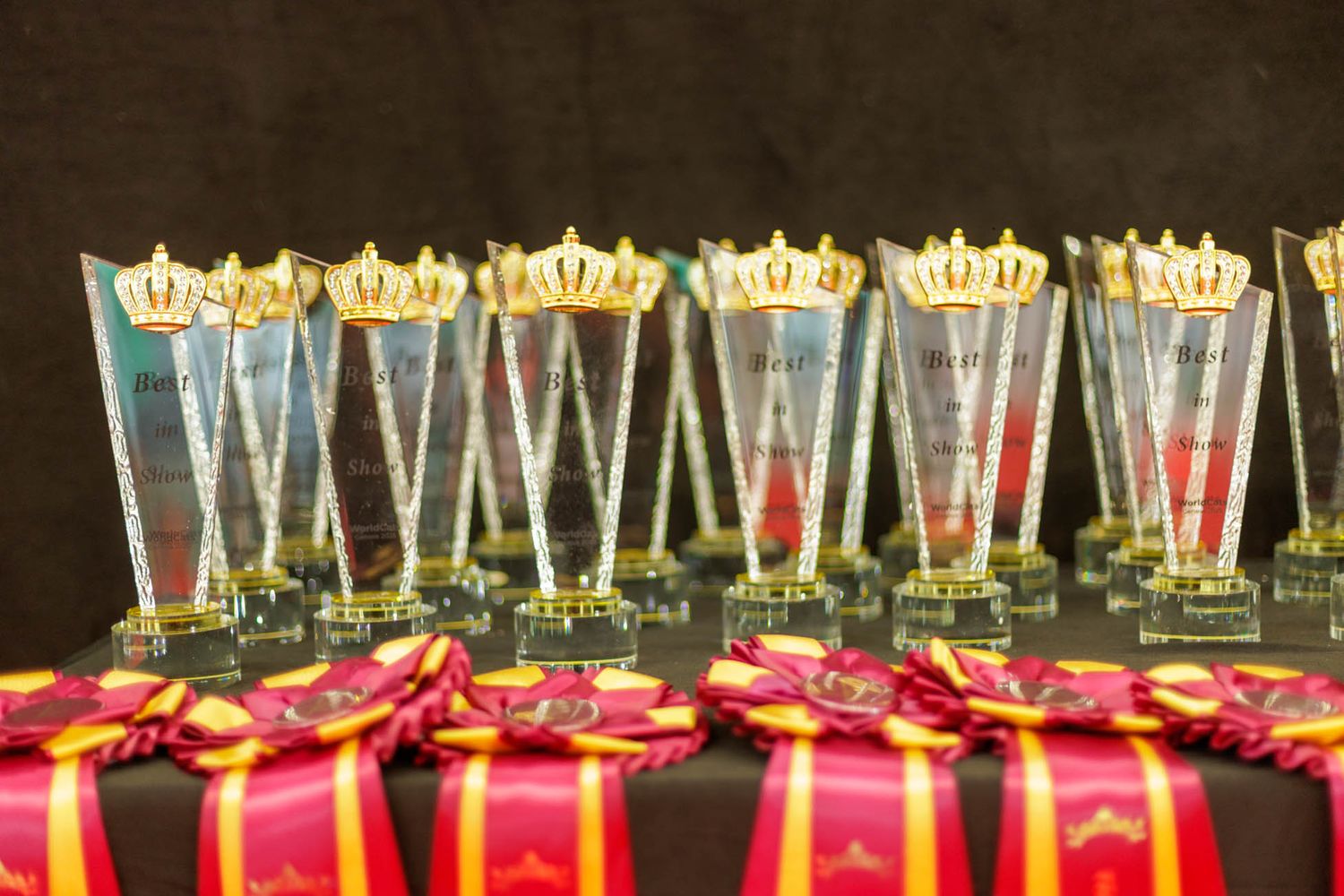 Row of decorative crown-topped champagne flutes with red gift boxes.