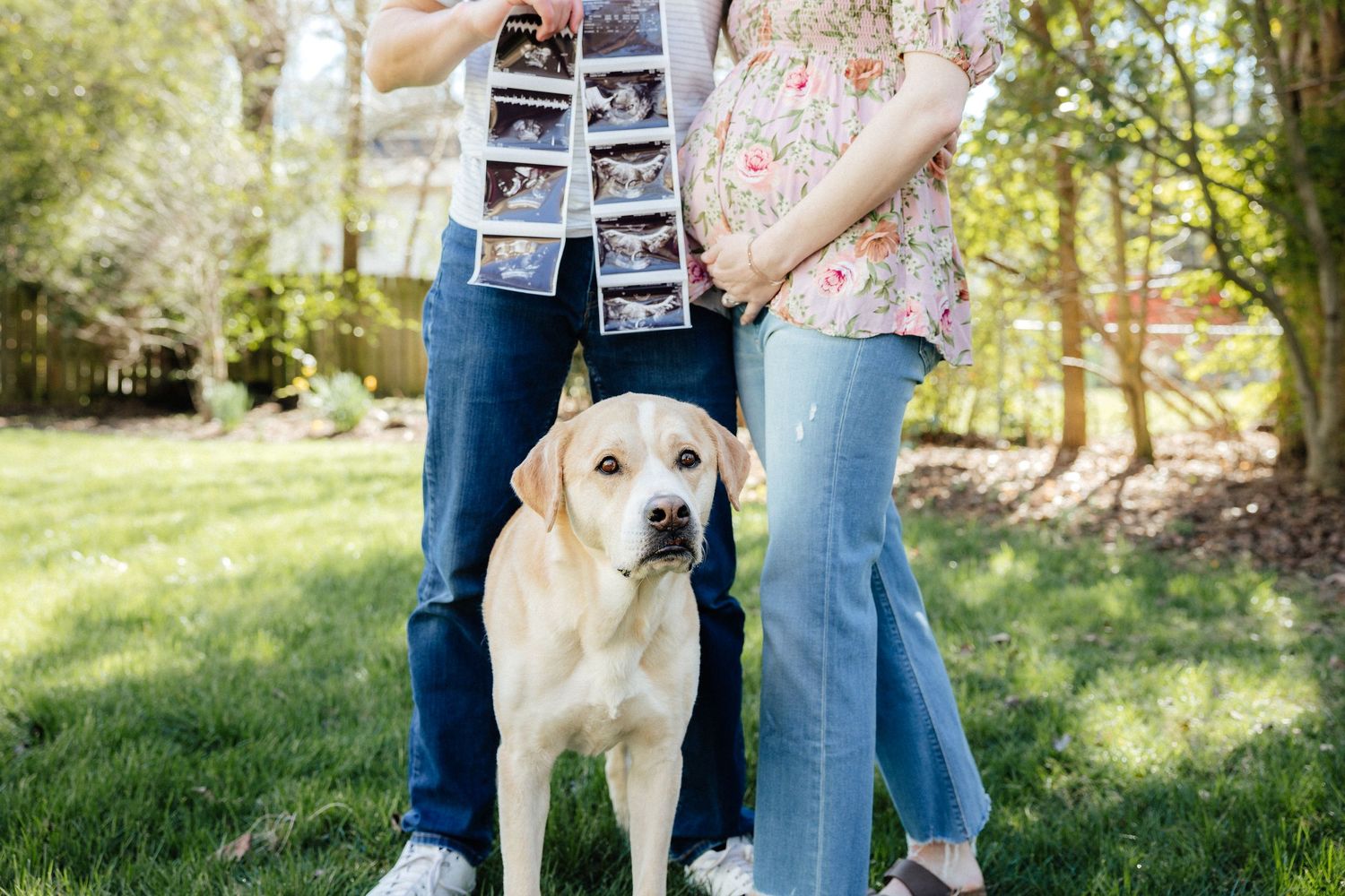 Pregnancy Announcement Maternity Couples Photography