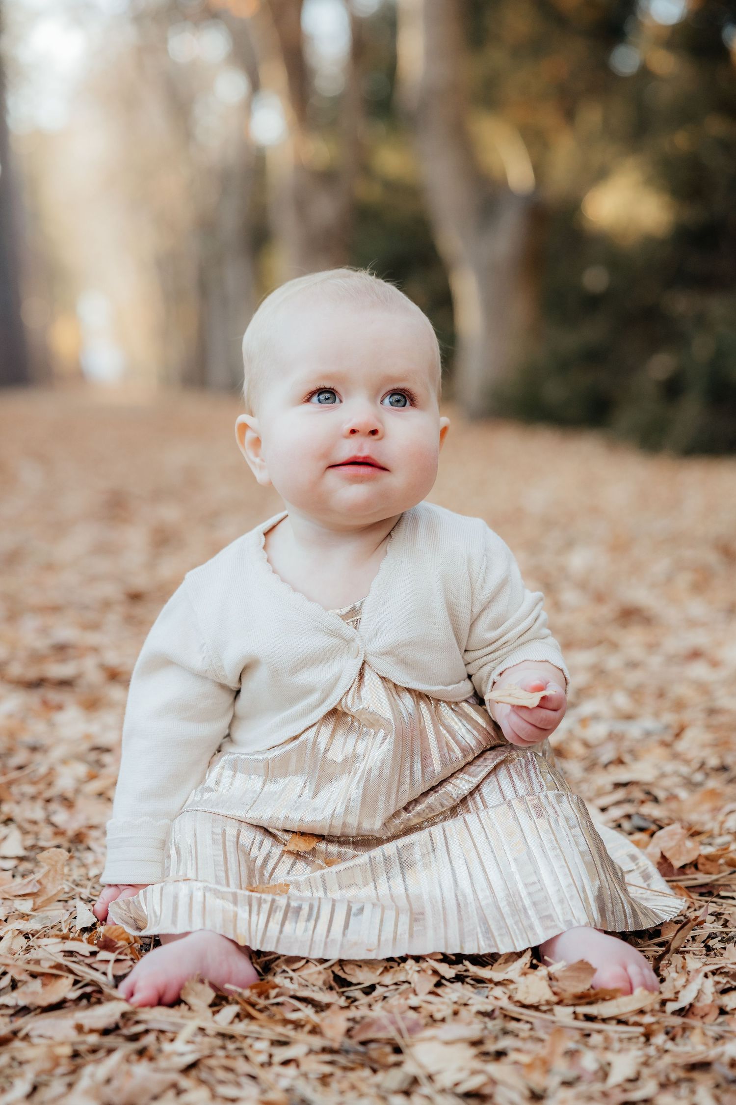 Family Lifestyle Photography