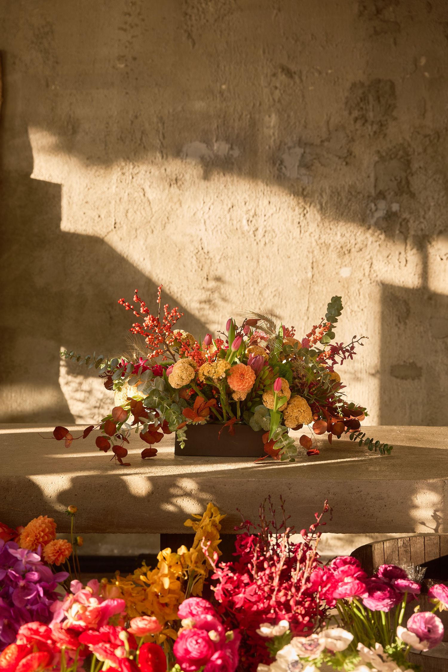 Sunlit floral display featuring orange, pink, and red blooms arranged on wooden shelves against a textured wall.