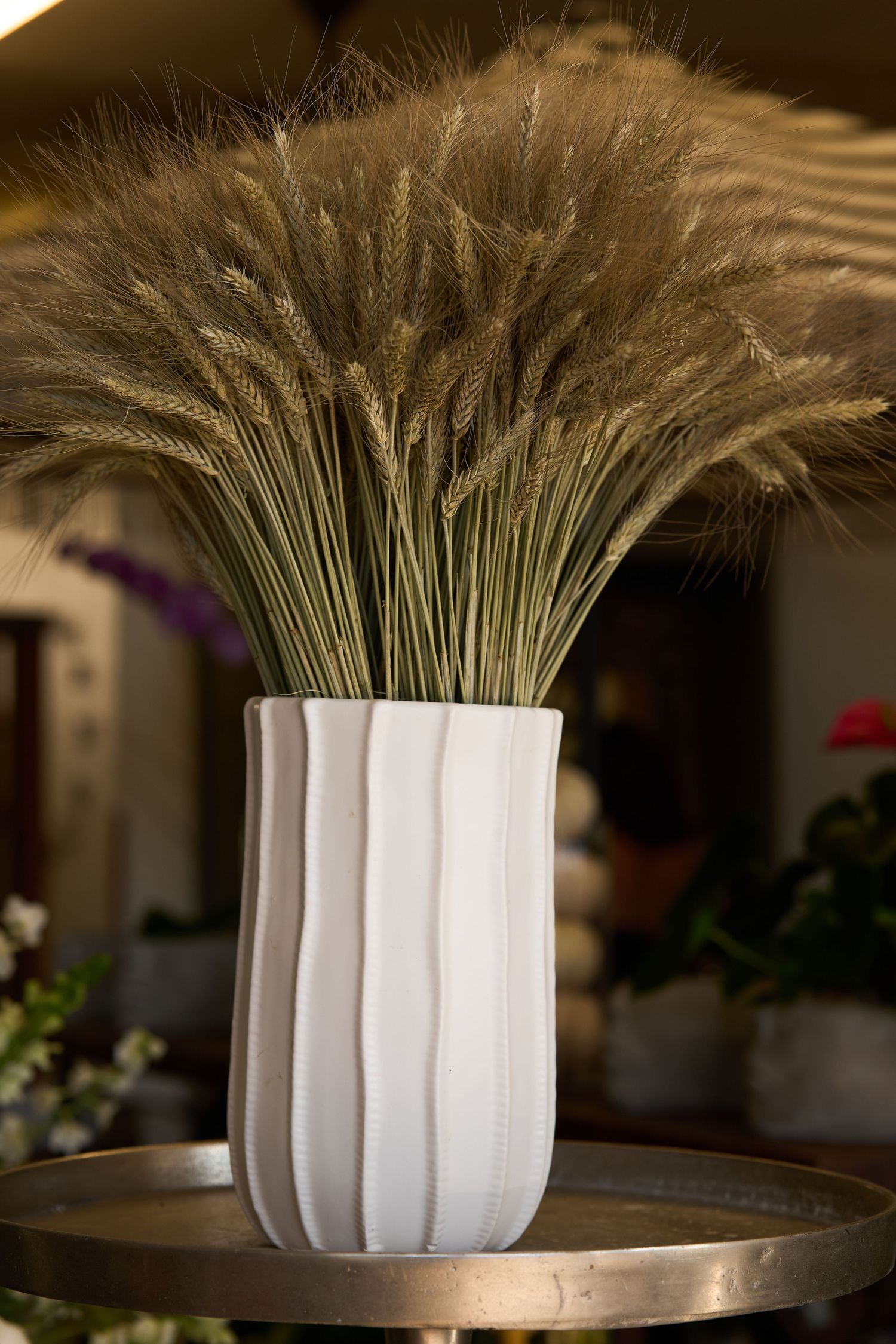 Close-up views of dried wheat stalks arranged in a modern white ribbed ceramic vase on a dark wooden surface.