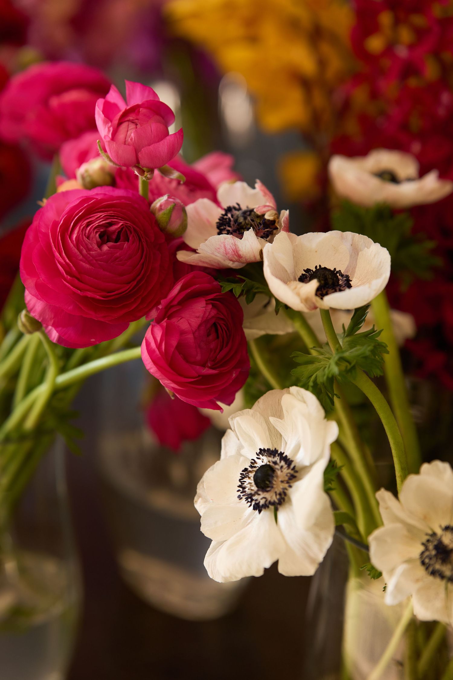 Pink ranunculus and white anemone flowers arranged together in a romantic floral display.