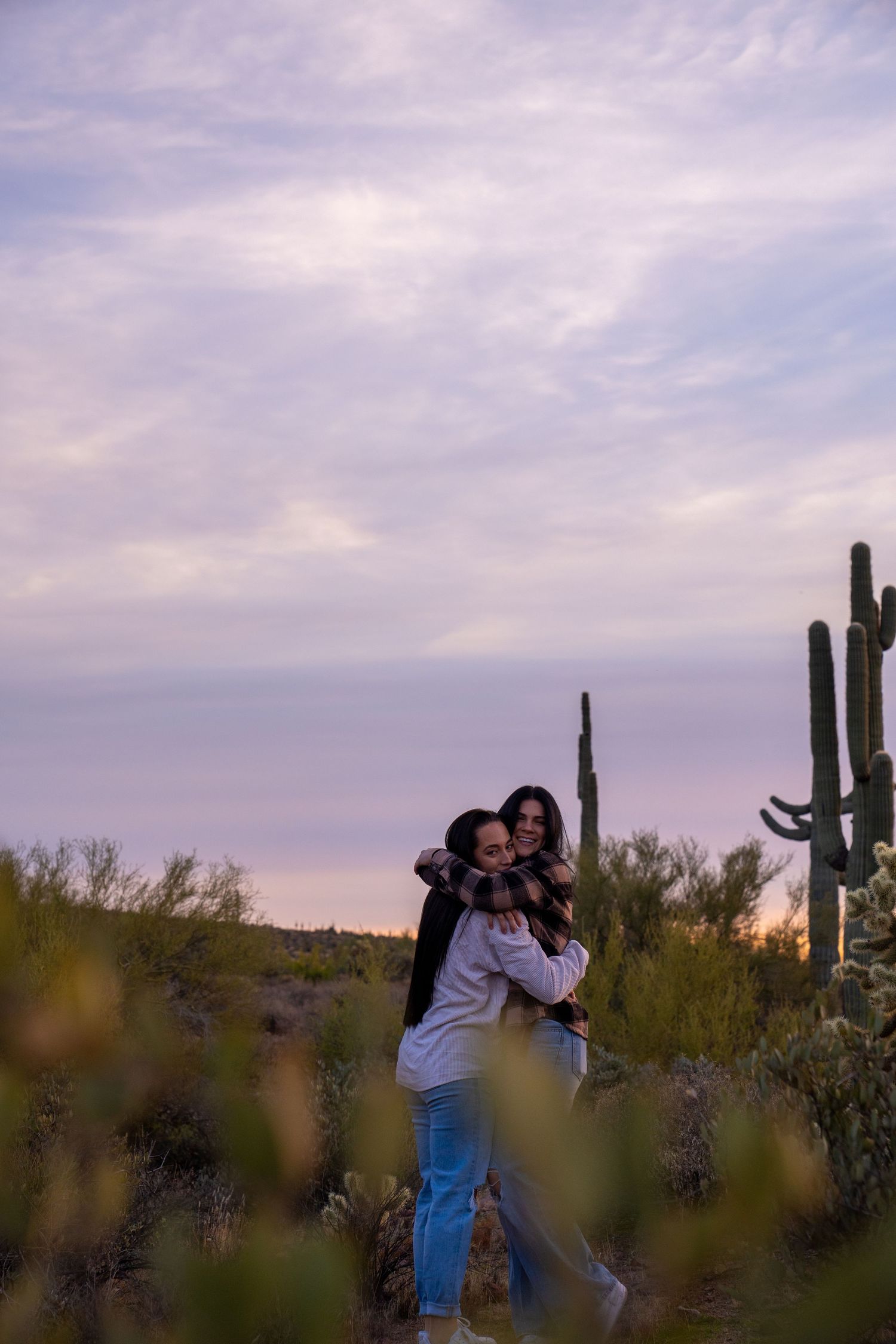 Desert landscape at dusk with tall saguaro cacti silhouetted against a purple sky.