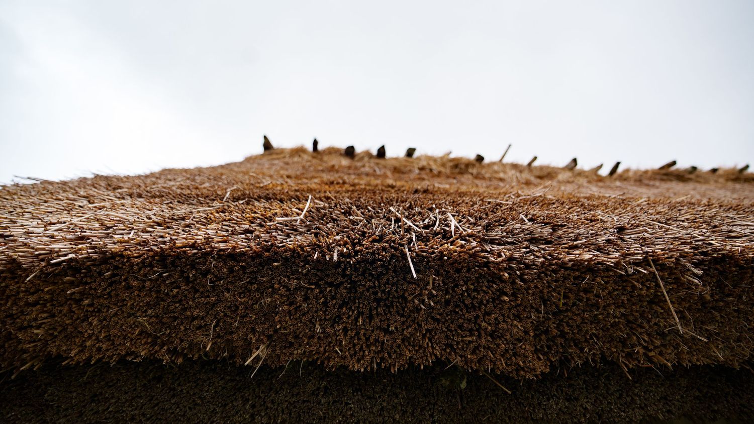 Old straw roof of a Swedish village home.