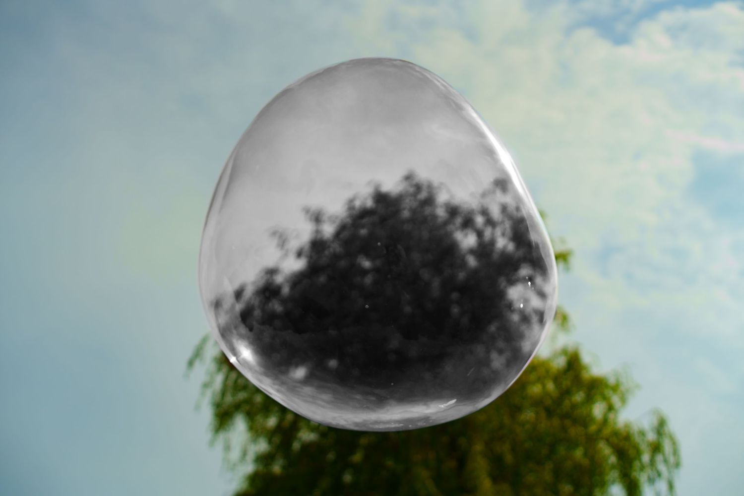 Desaturated bubble with a colorful cloudy sky and a prominent tree in the background.