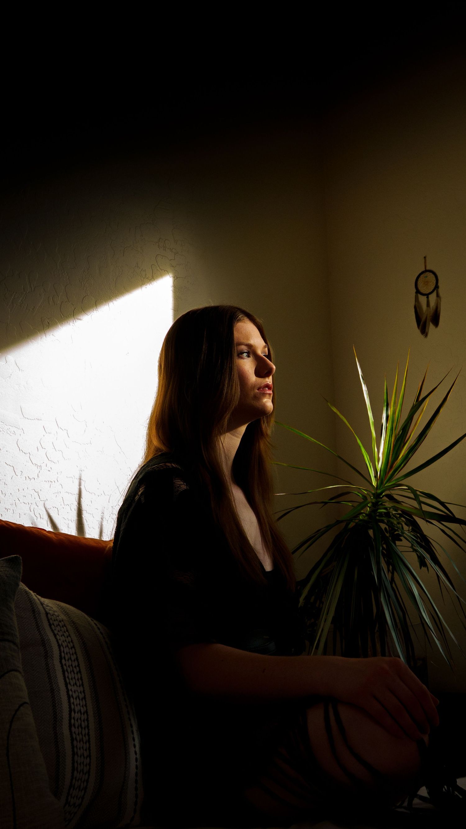 Moody indoor scene with dramatic window lighting and houseplant silhouette.