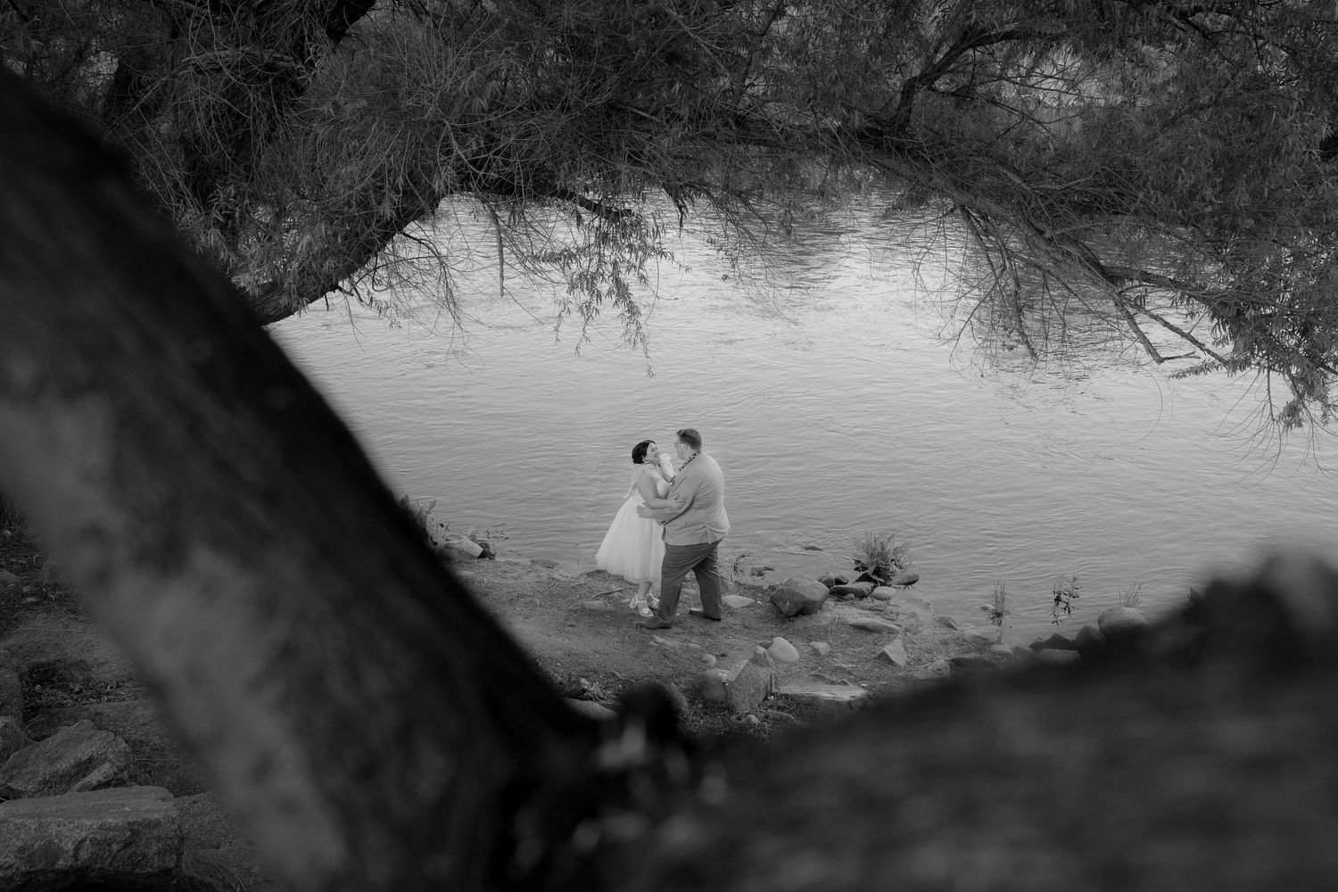 Black and white landscape photo with dramatic tree silhouettes framing the scene.