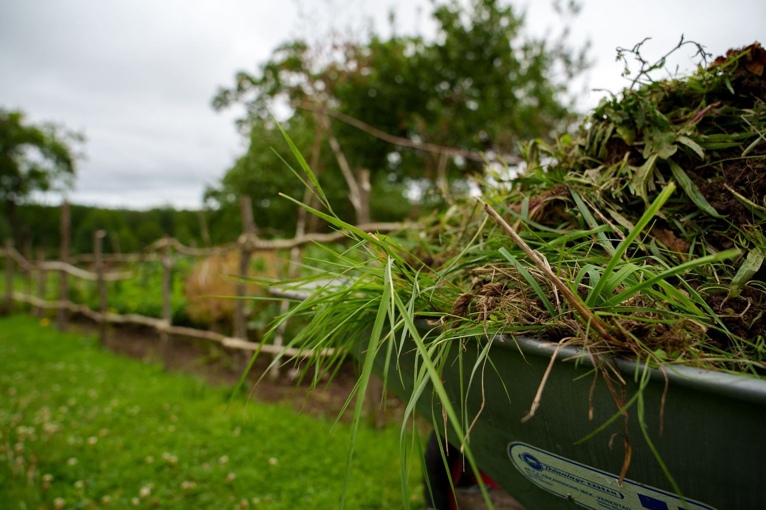Lush green grass and vegetation grows along a wooden fence line in a rural countryside setting.