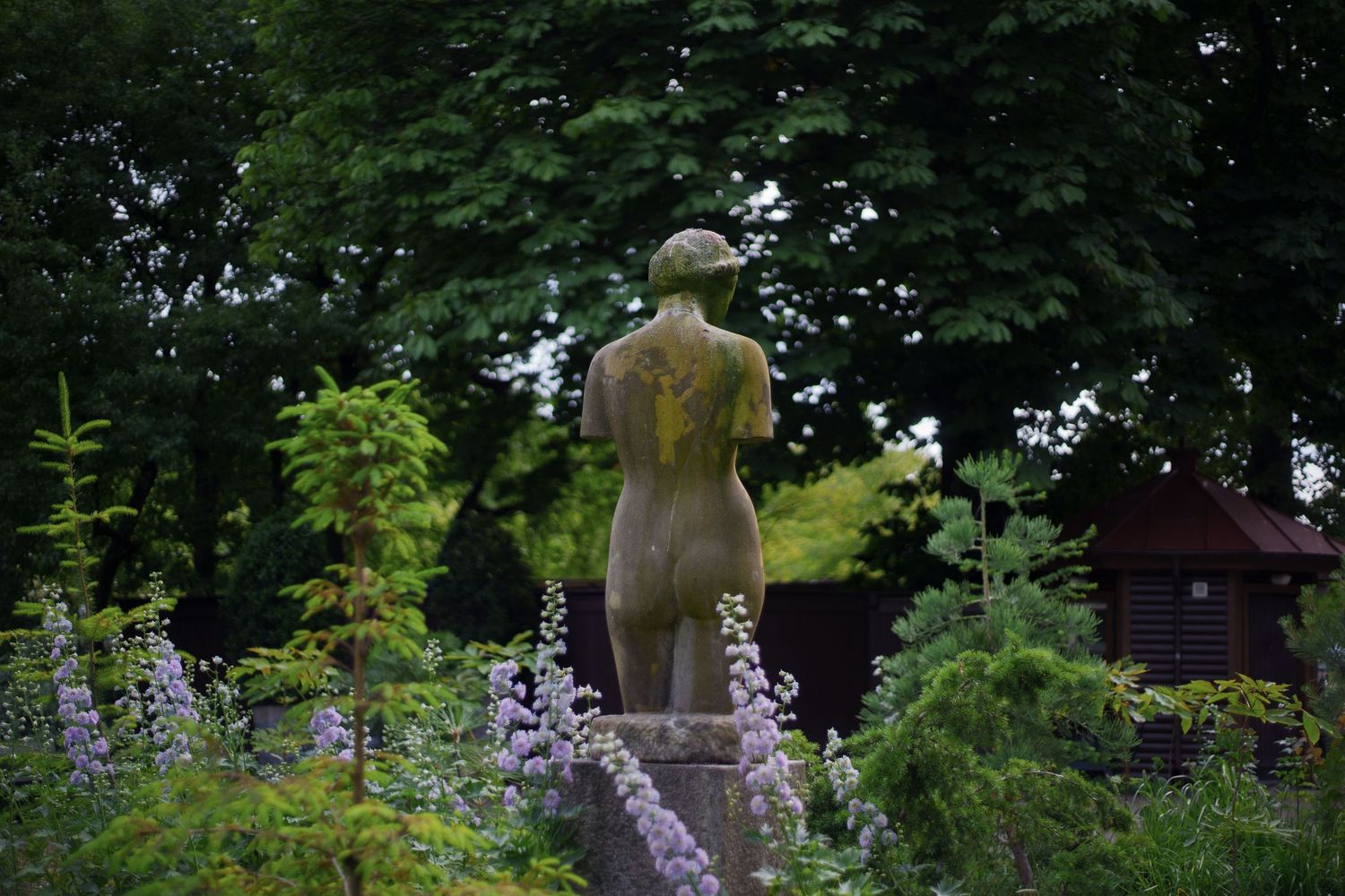 Garden landscape with tall purple delphinium flowers blooming among green foliage and a statue of a woman.