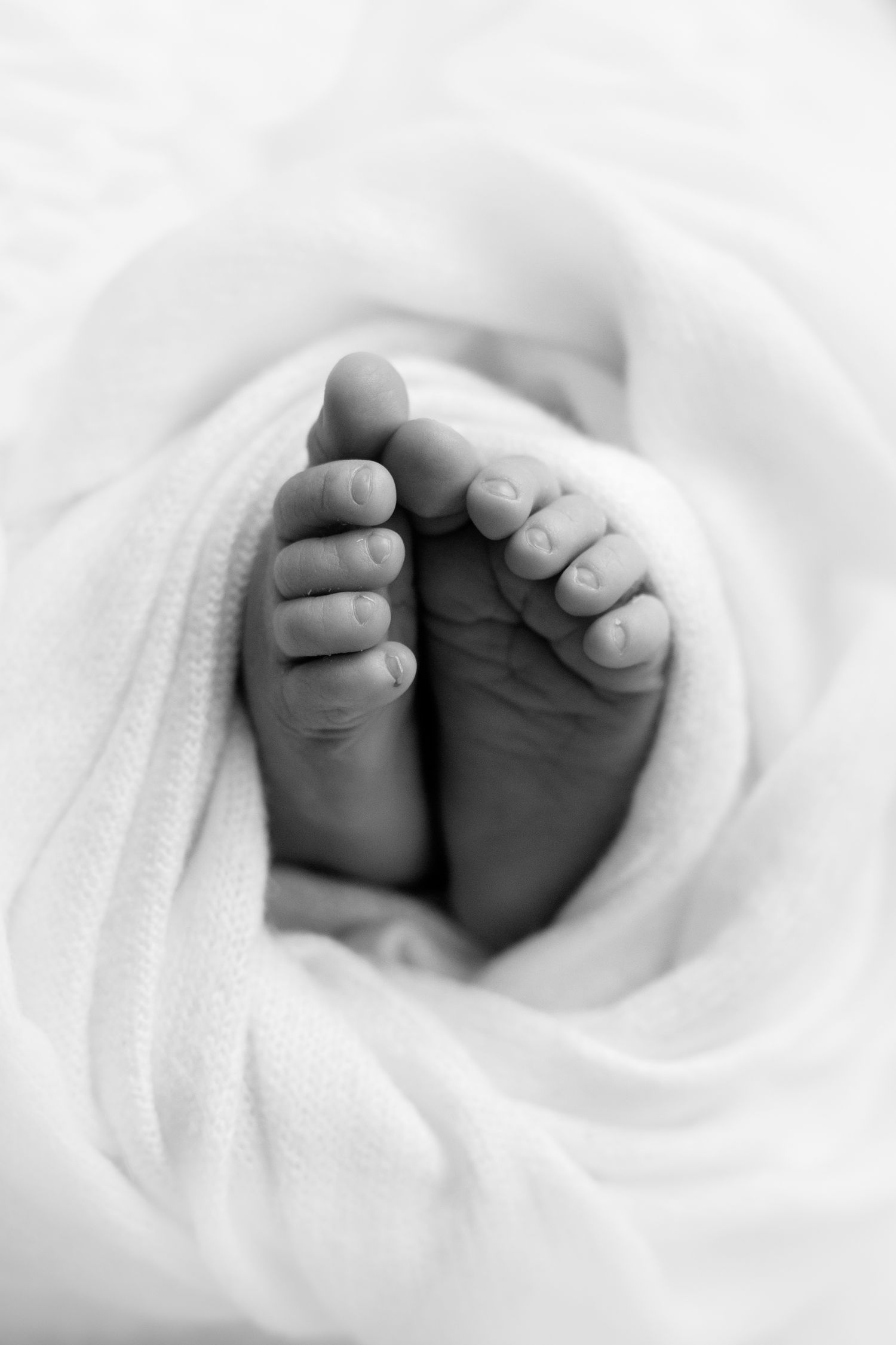 Close-up black and white photo of tiny newborn baby feet wrapped in soft white blanket. Albury Wodonga Newborn Photographer