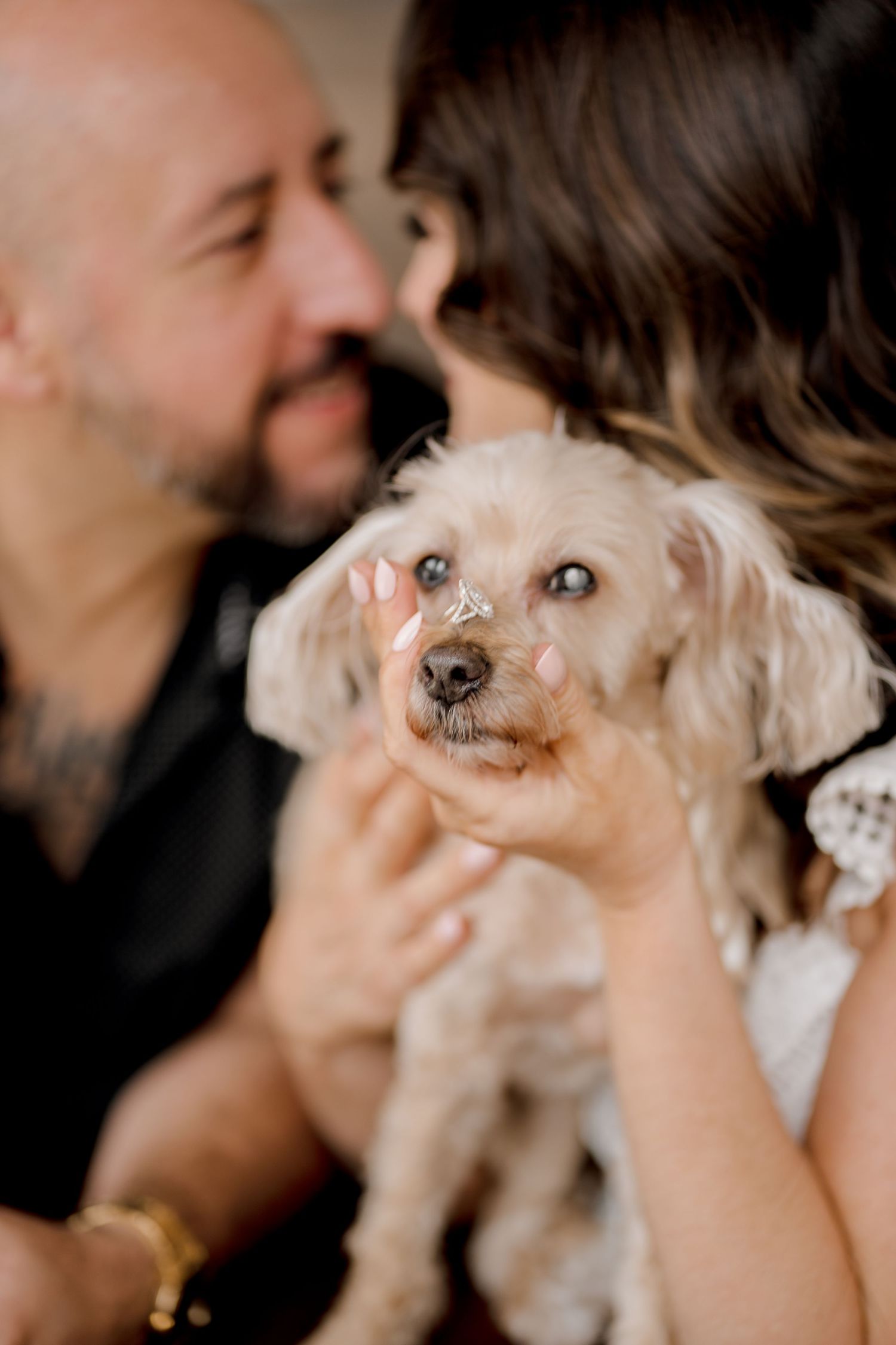 Close up of small white dog being held between couple during intimate moment.