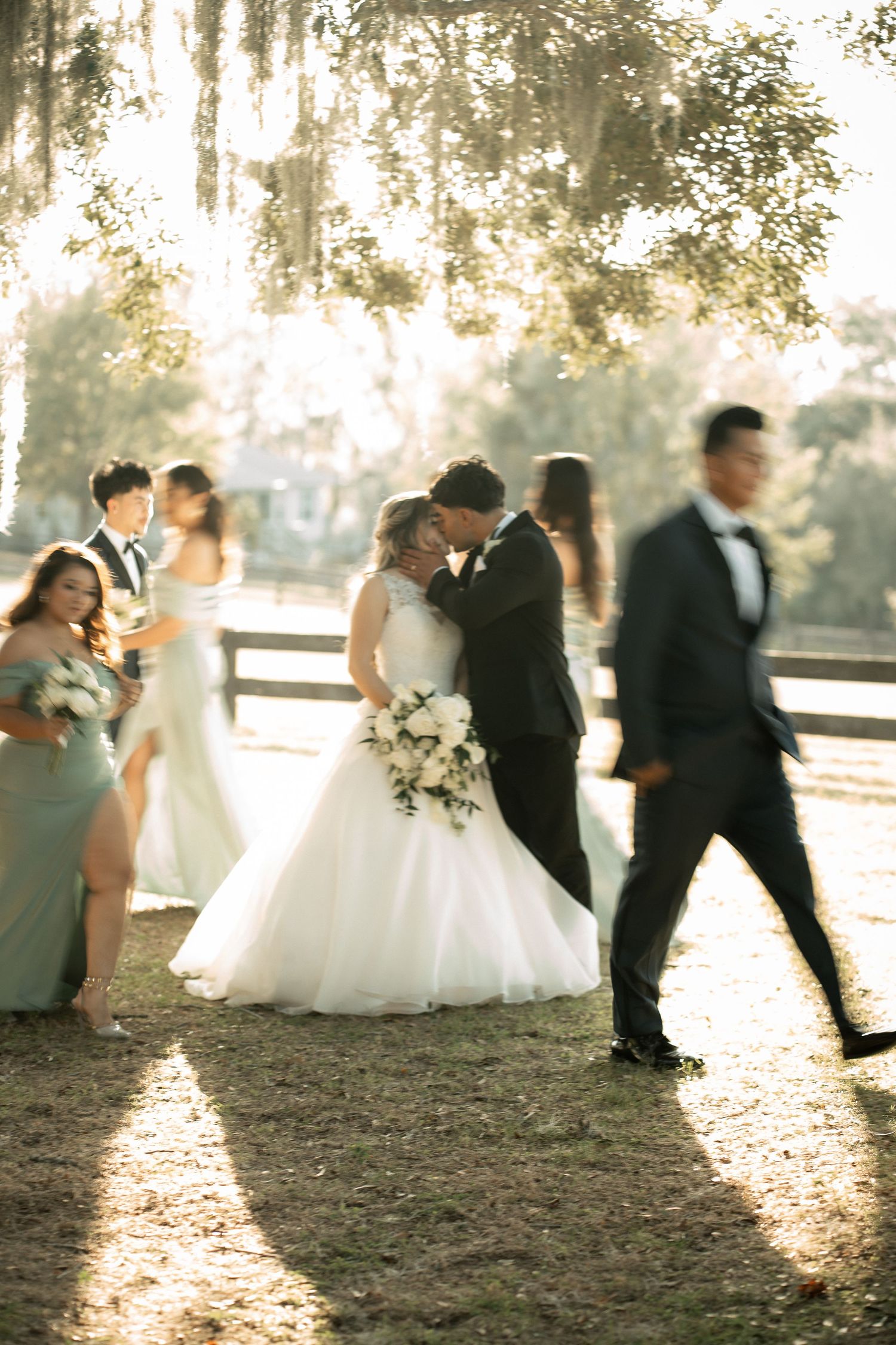 A bride and groom share an intimate moment surrounded by their wedding party outdoors beneath moss-draped trees in golden light.