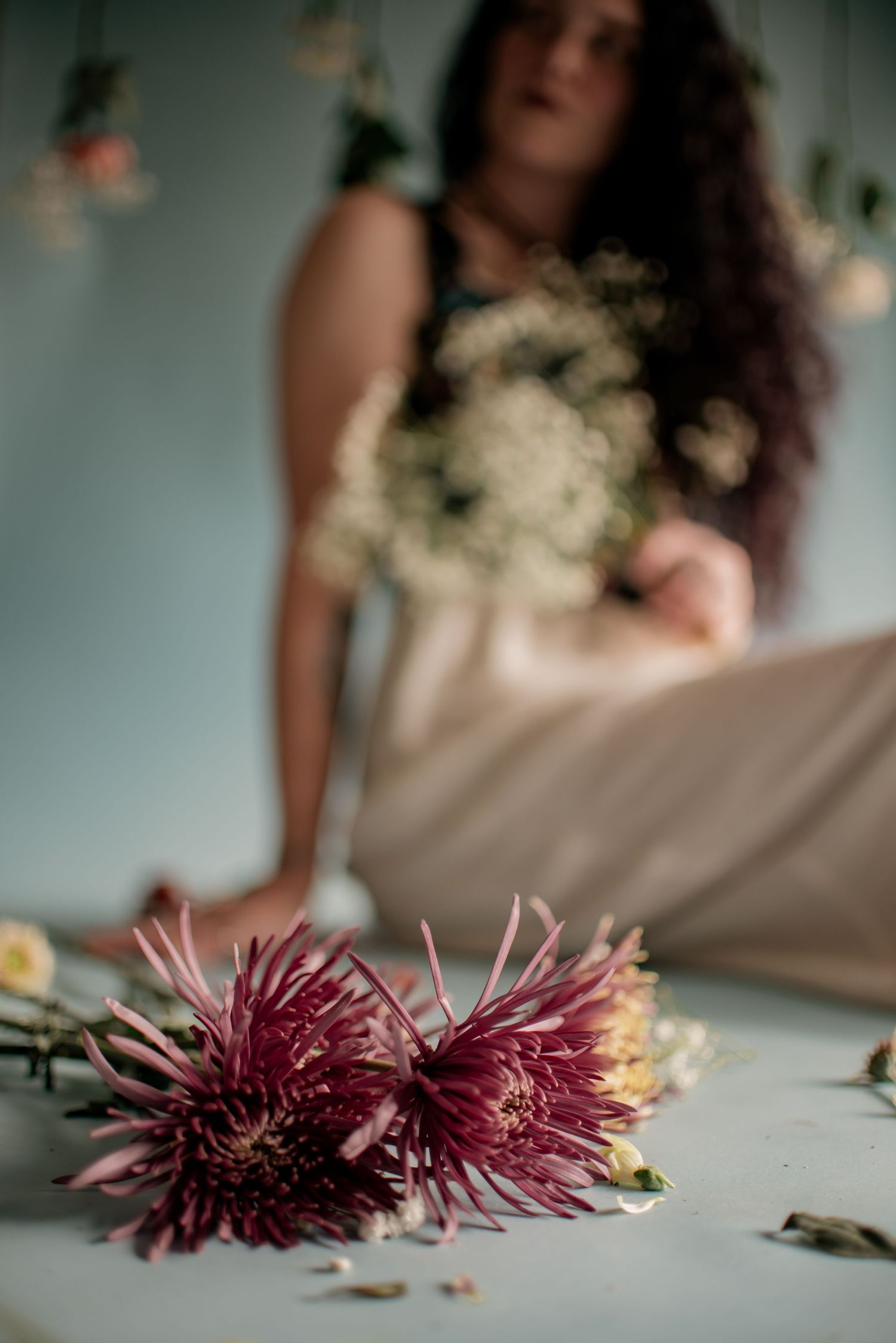 Artistic still life of pink chrysanthemums with blurred figure in background.