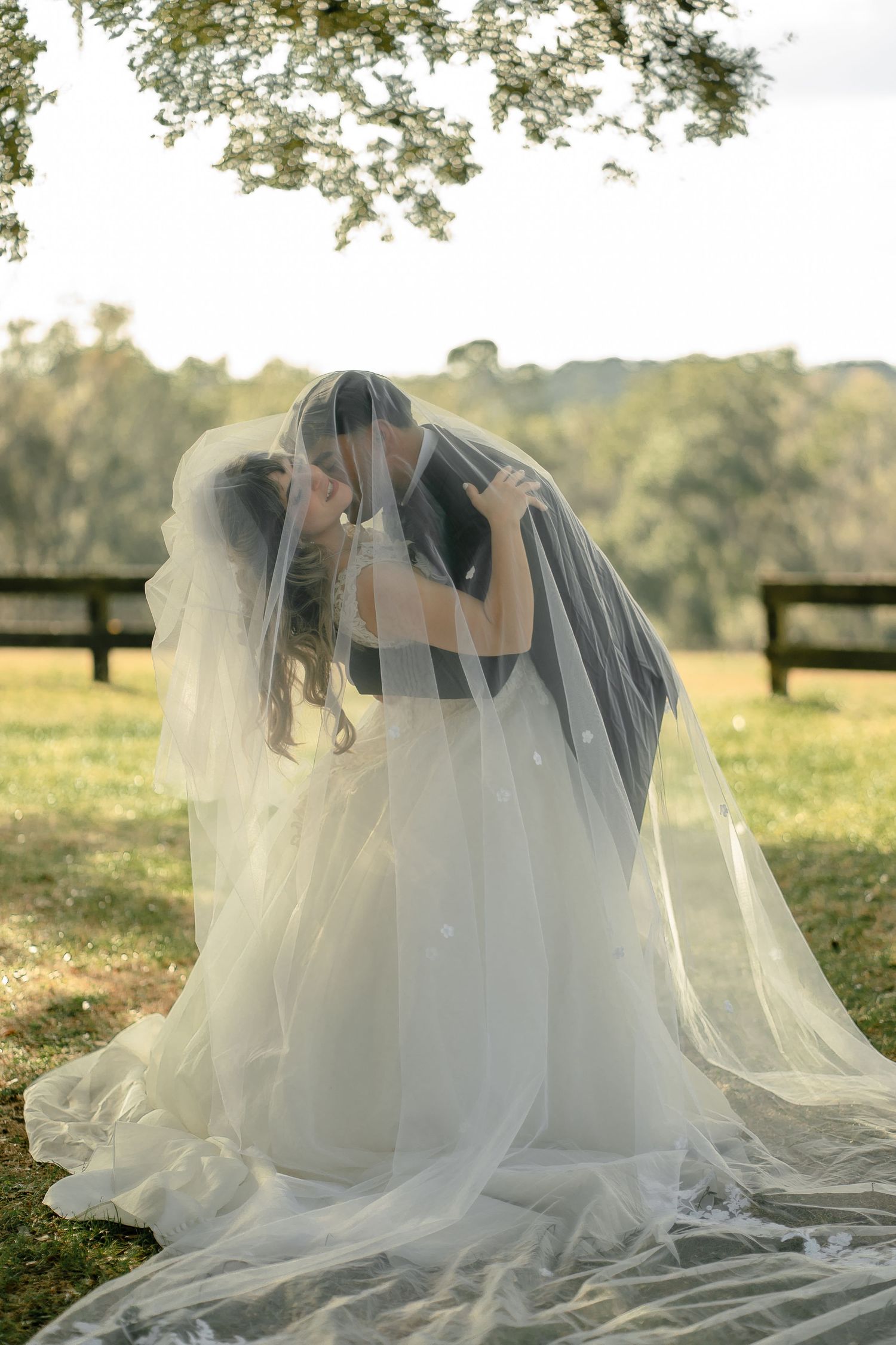 Bride and groom sharing a romantic kiss under a flowing white veil outdoors on lush green grass.