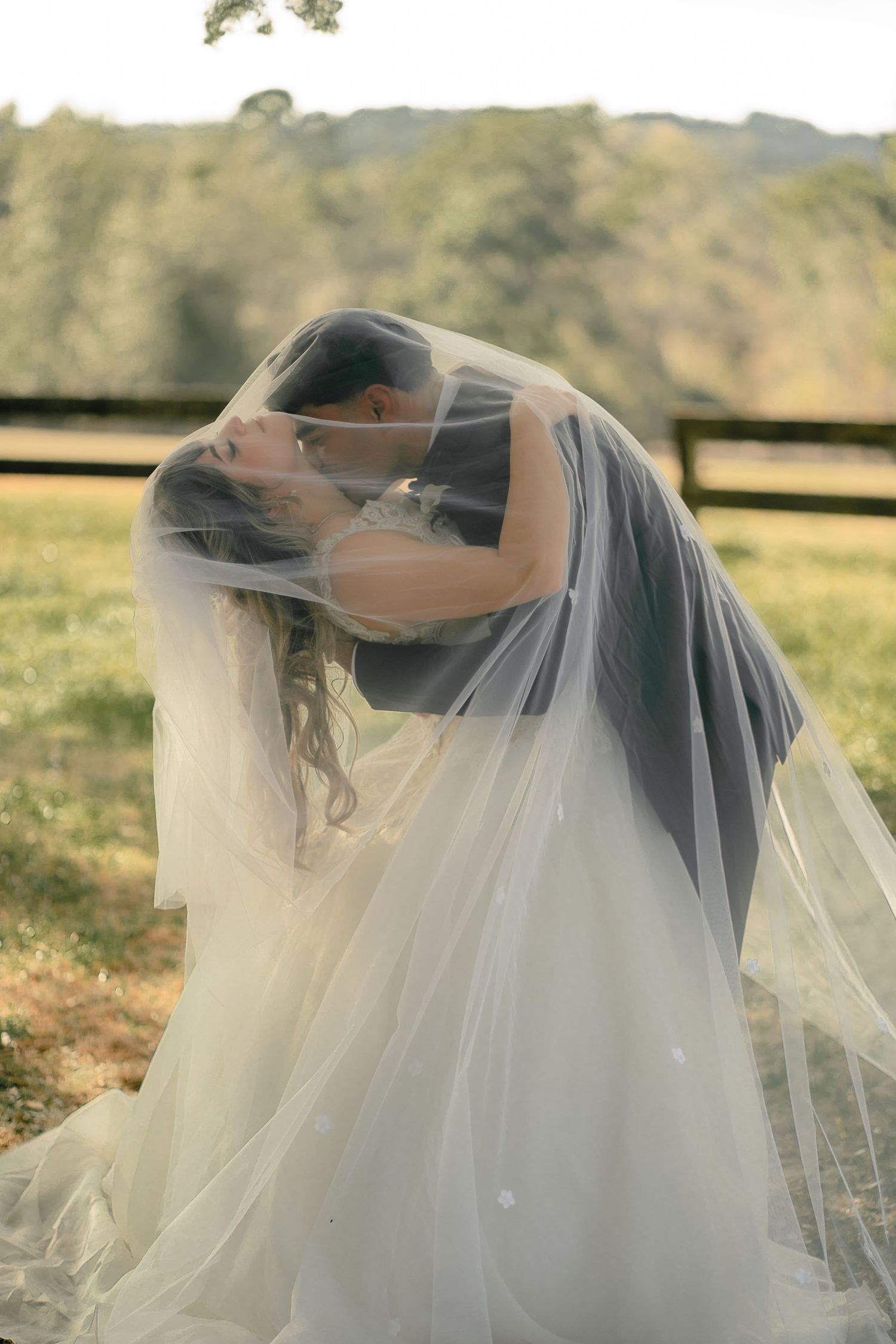 A romantic wedding photo series shows a couple embracing under a flowing white veil against a sunlit outdoor backdrop.