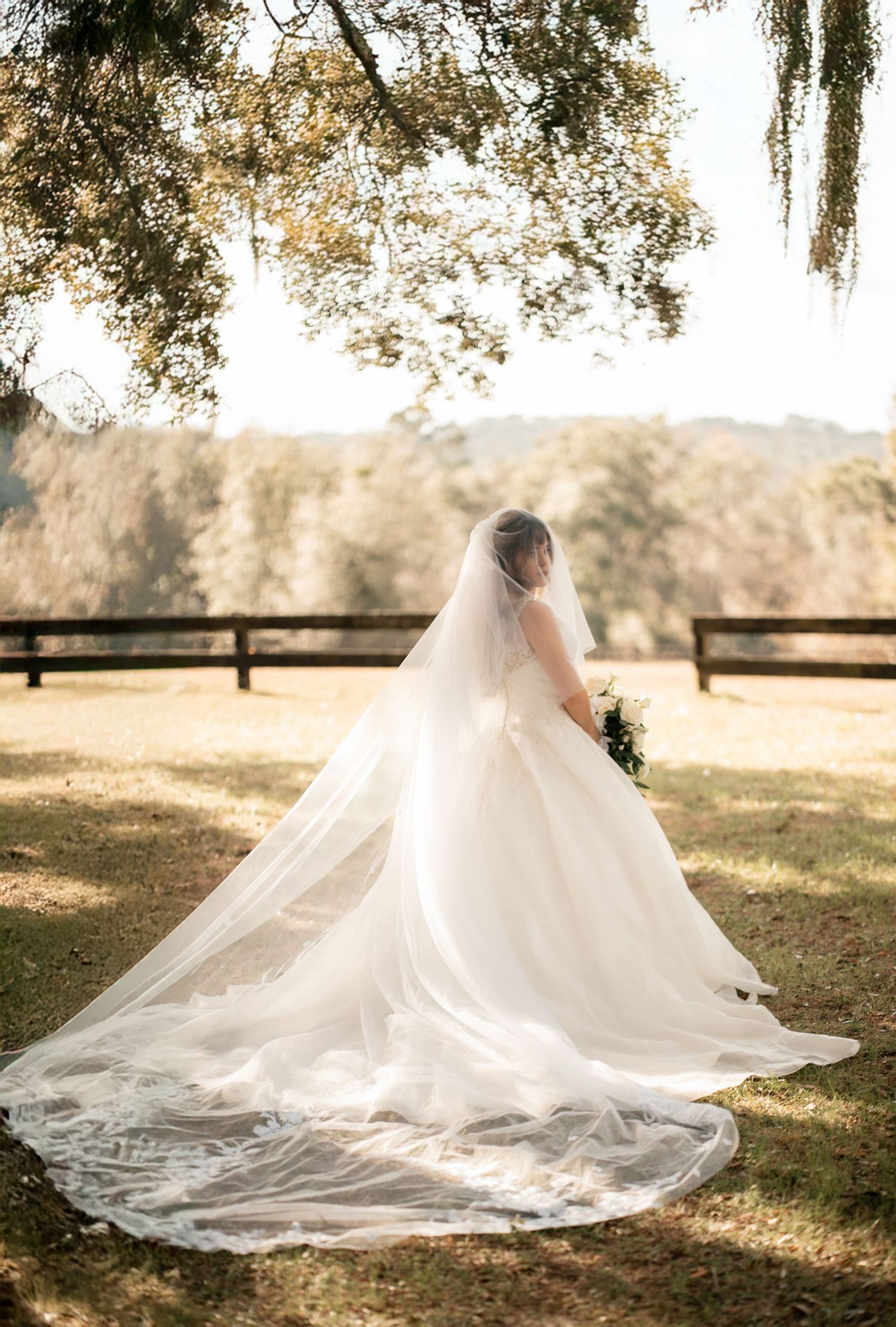 A flowing white wedding gown with long veil trails behind on a sunlit lawn with rustic wooden fencing and Spanish moss.