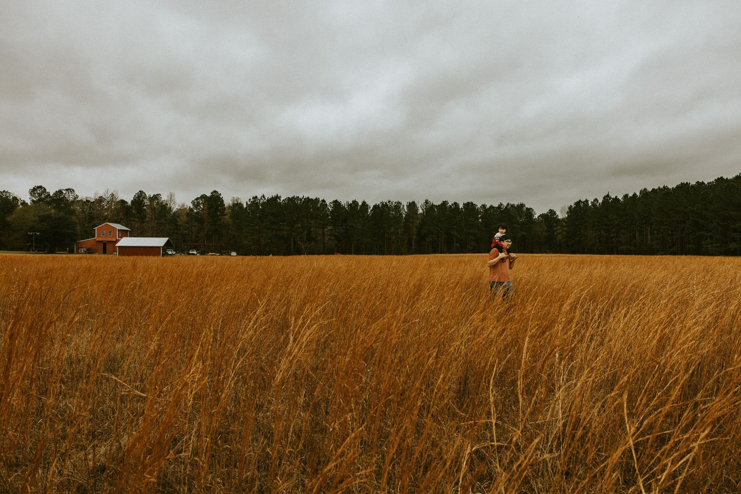 Outdoor family photography session at a farm open filed, outdoor family session in Grovetown, GA