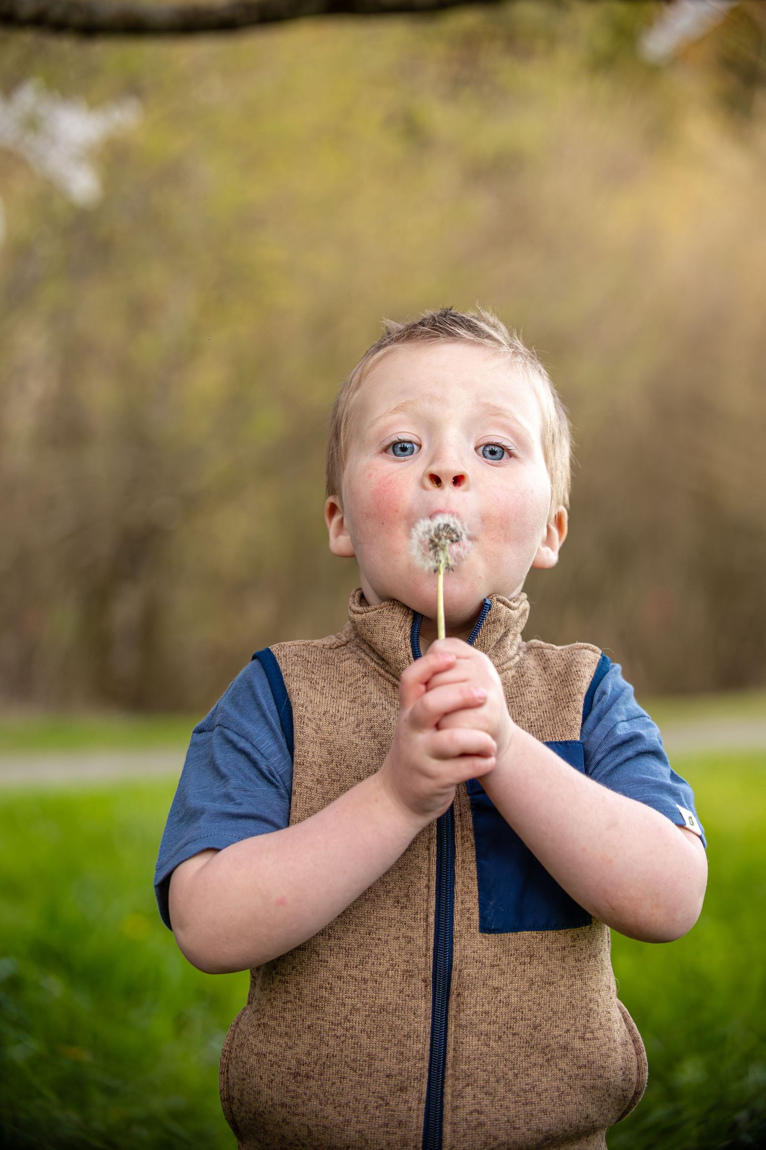 Cute blonde boy with blue eyes blowing a dandelion in a lush green park setting.