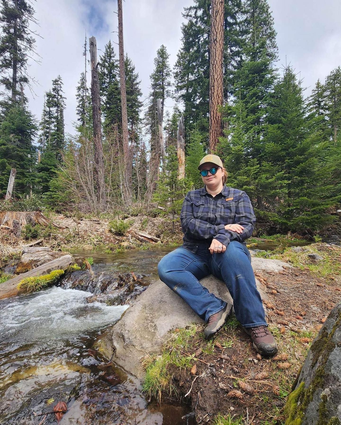 Person sitting on a rock beside a forest stream surrounded by tall pine trees.