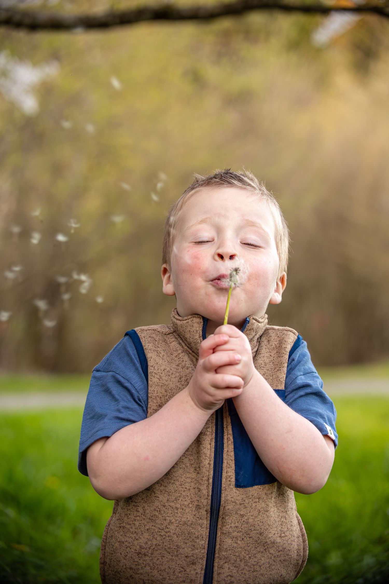 Young blonde boy blowing dandelion seeds with eyes closed in a green outdoor park.