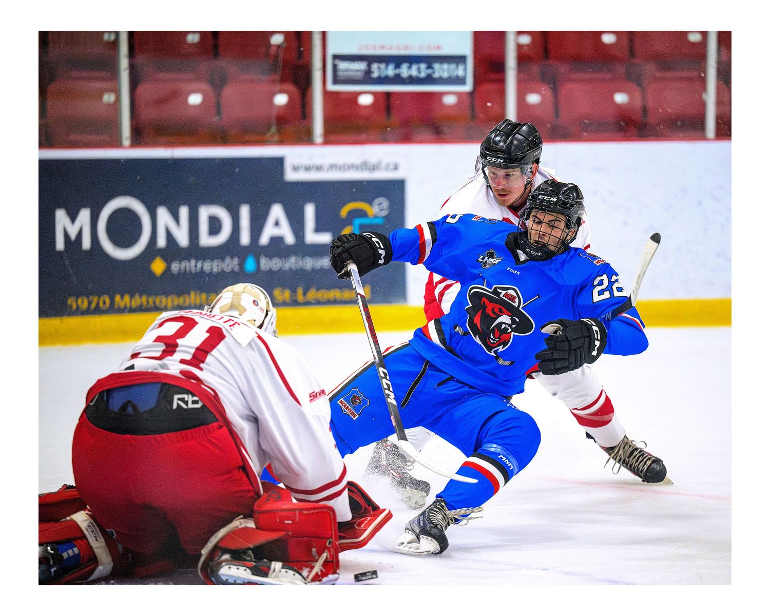 Senior Men's Hockey - LHSE_Montreal Quebec
