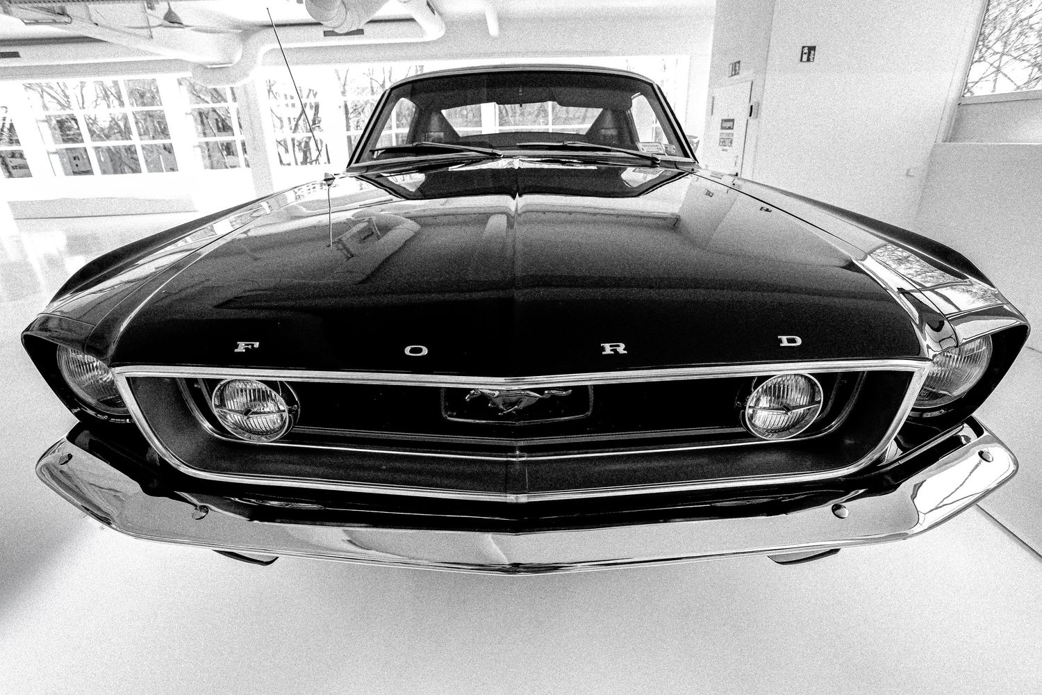 Black and white front view of a classic Ford Mustang in a bright white showroom.