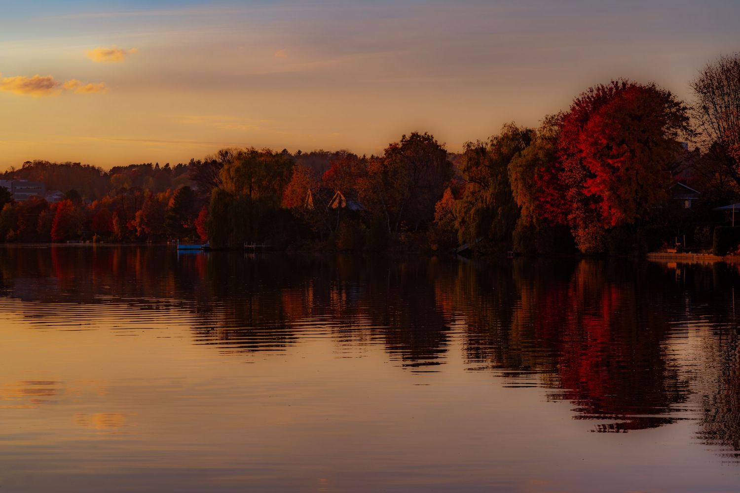 Fall tapestry. Autumn explosion of colours.