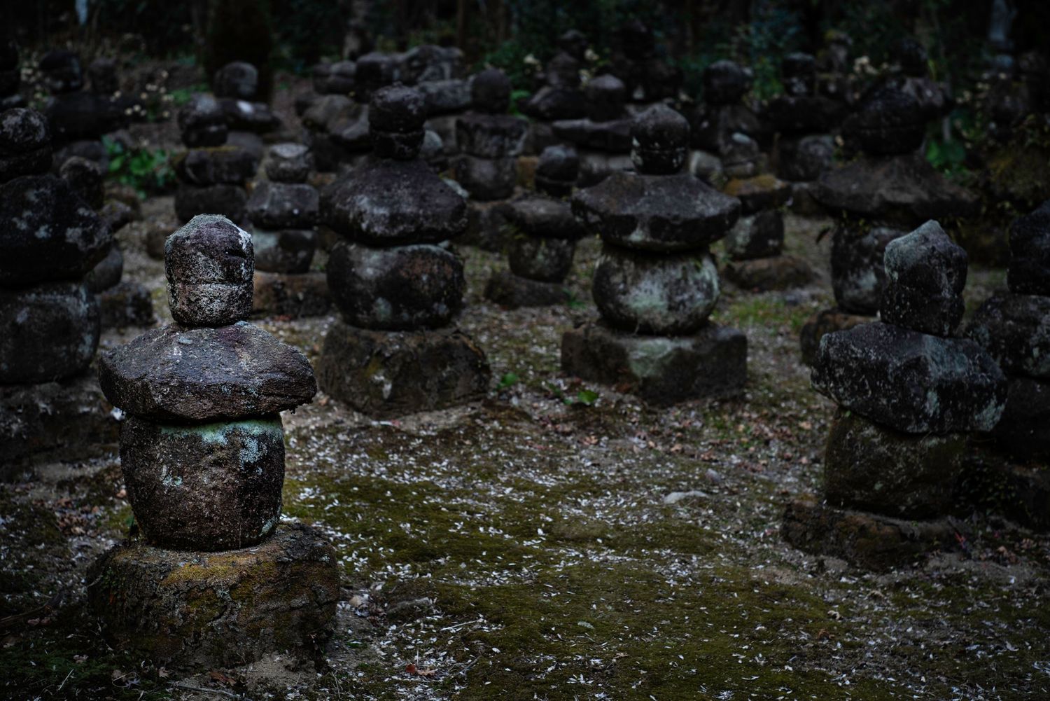 Doryu Ji Temple Ruins. Japan. Kagoshima. Kyushu. Japan 2026.