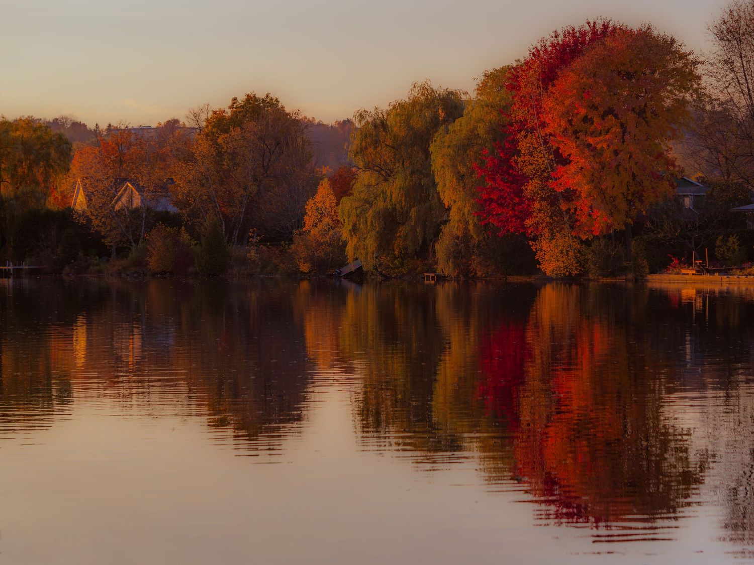 Fall tapestry. Autumn explosion of colours.