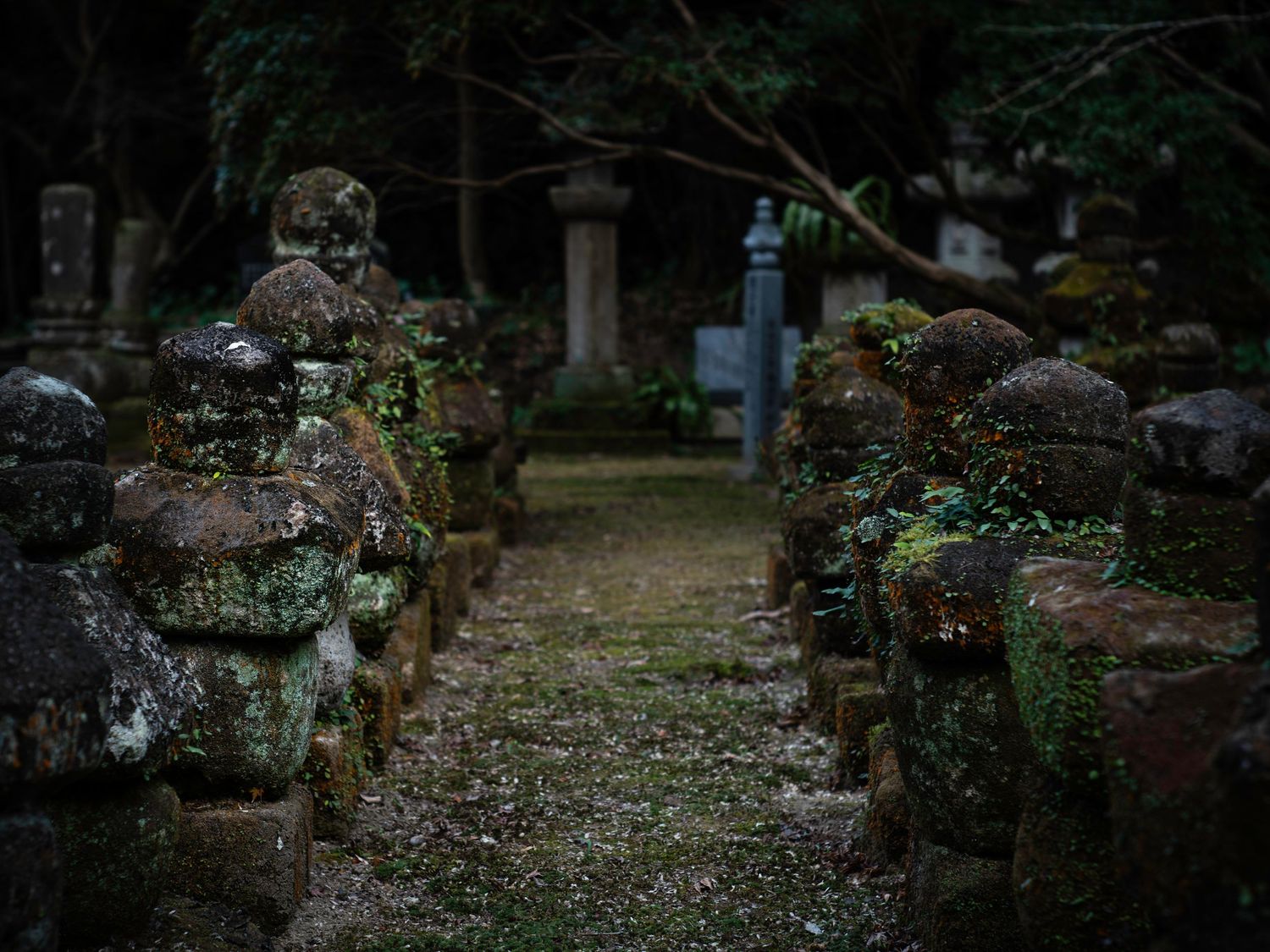 Doryu Ji Temple Ruins. Japan. Kagoshima. Kyushu. Japan 2026.