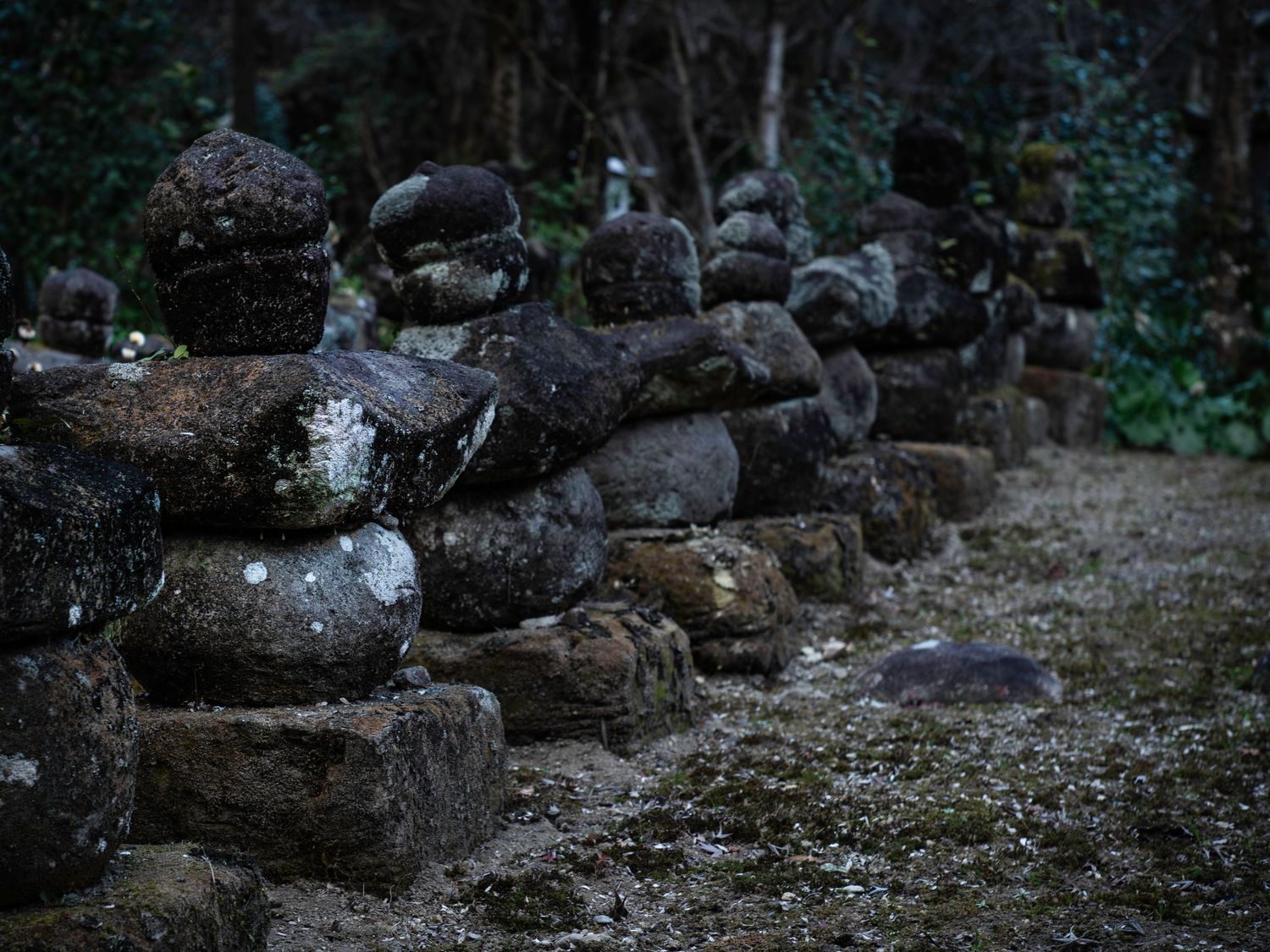 Doryu Ji Temple Ruins. Japan. Kagoshima. Kyushu. Japan 2026.