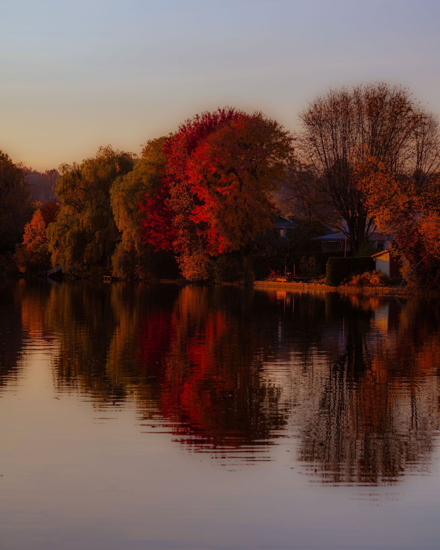 Fall tapestry. Autumn explosion of colours.