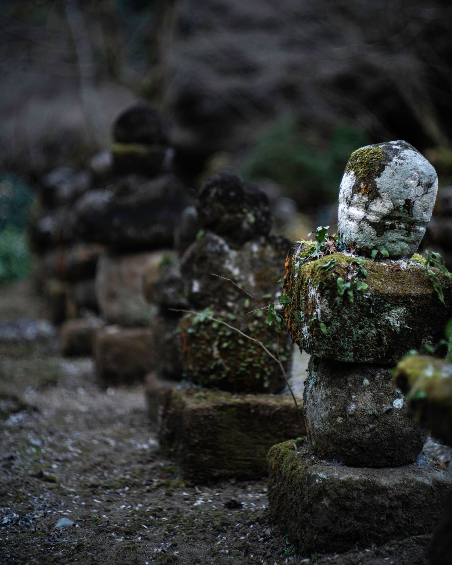 Doryu Ji Temple Ruins. Japan. Kagoshima. Kyushu. Japan 2026.