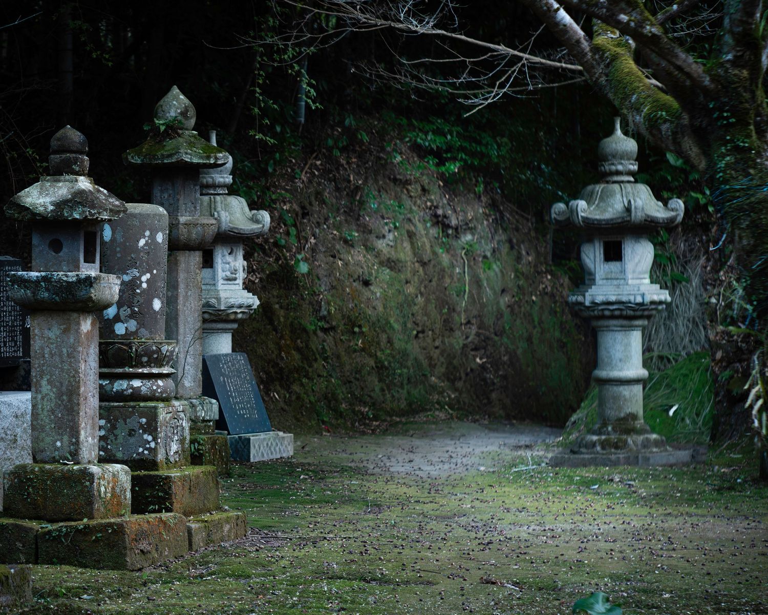 Doryu Ji Temple Ruins. Japan. Kagoshima. Kyushu. Japan 2026.